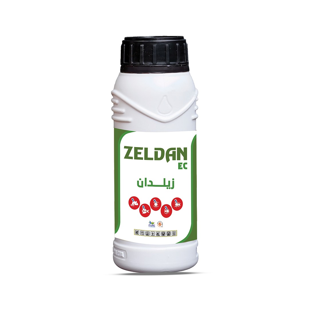 Zeldan