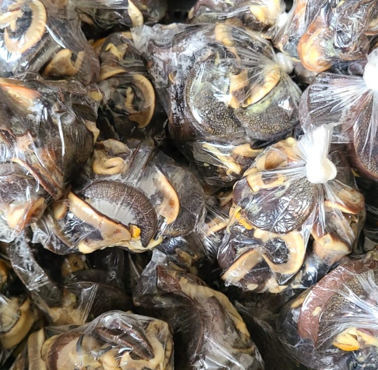 ESCARGOT  (200 g) 10 pièces x 6.5 euros
