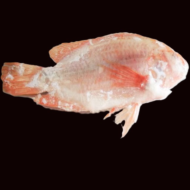 TILAPIA 300-500g GVN 4 KG ( 4kg x 2.49 euros kg)