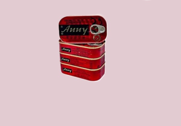 Sardine à-huile- ANNY  50 x 125gr  (50 x 0.68 centimes)