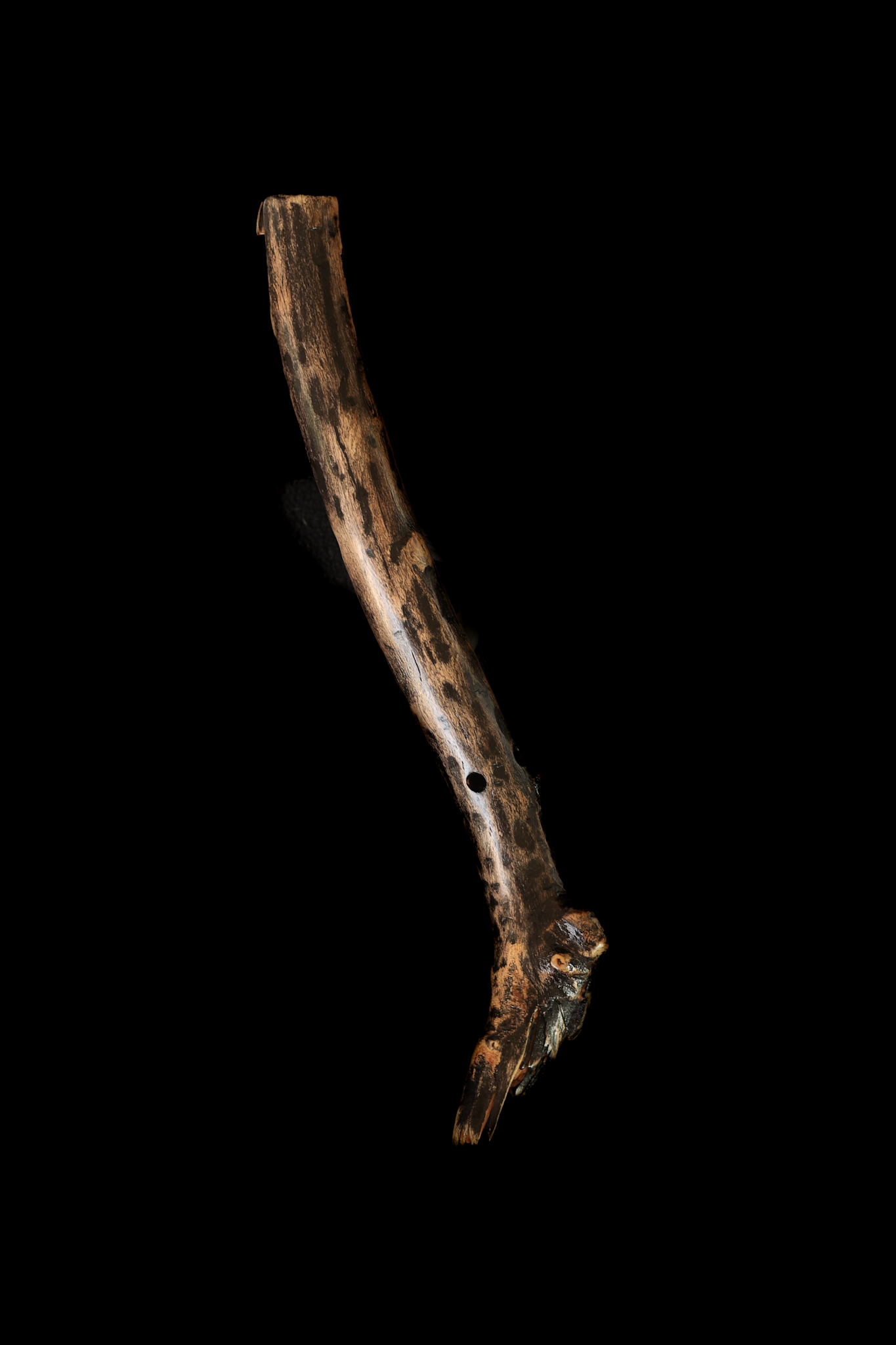 Ebonized Beech - high C# Aeolian Scale (440Hz)