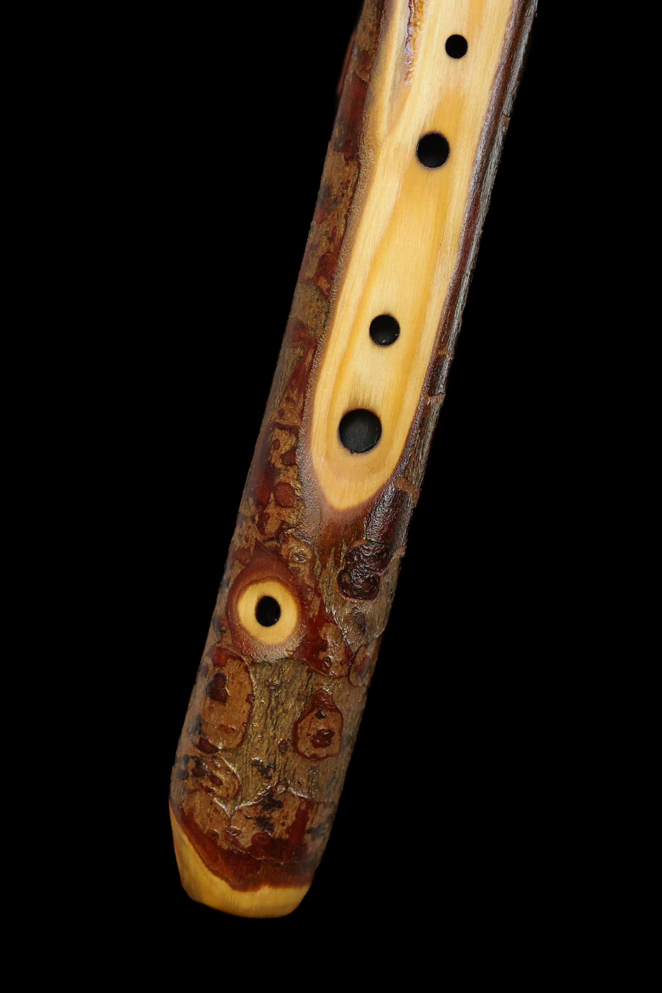 Pine - A# Hijaz scale (440Hz)