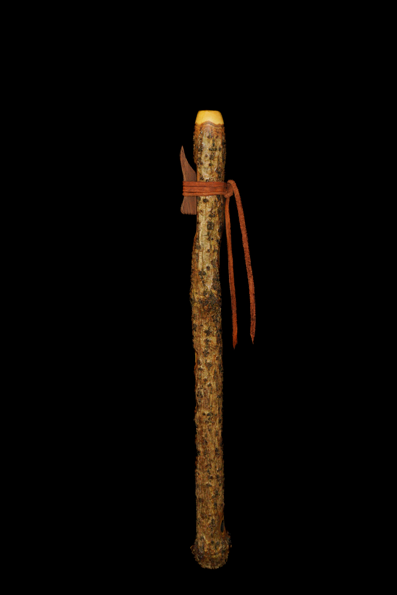 Elderberry - A Hijaz Scale (444Hz)