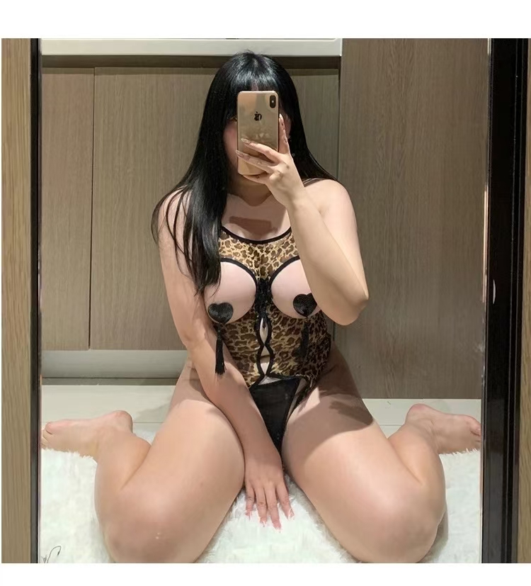 Leopard Print Lingerie