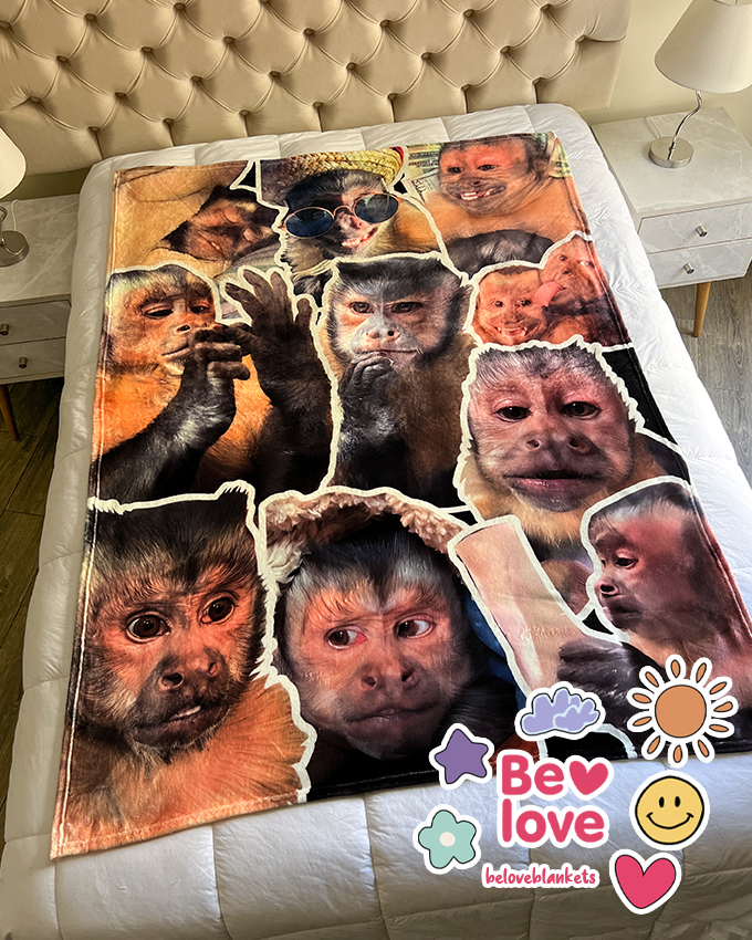 George The Monkey