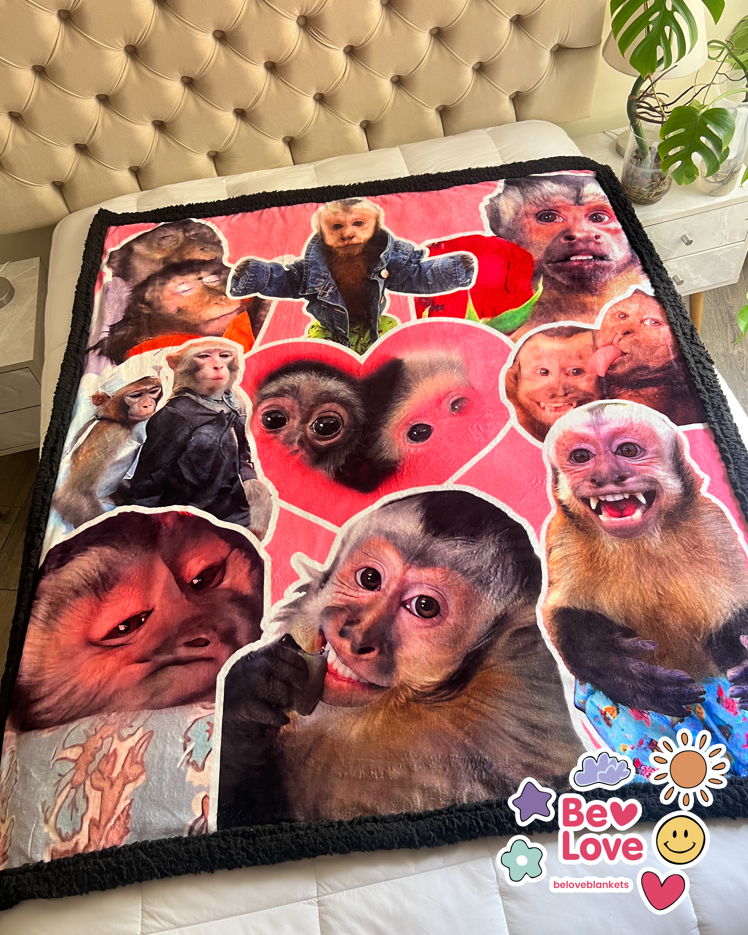 Monkey Cute Collage 