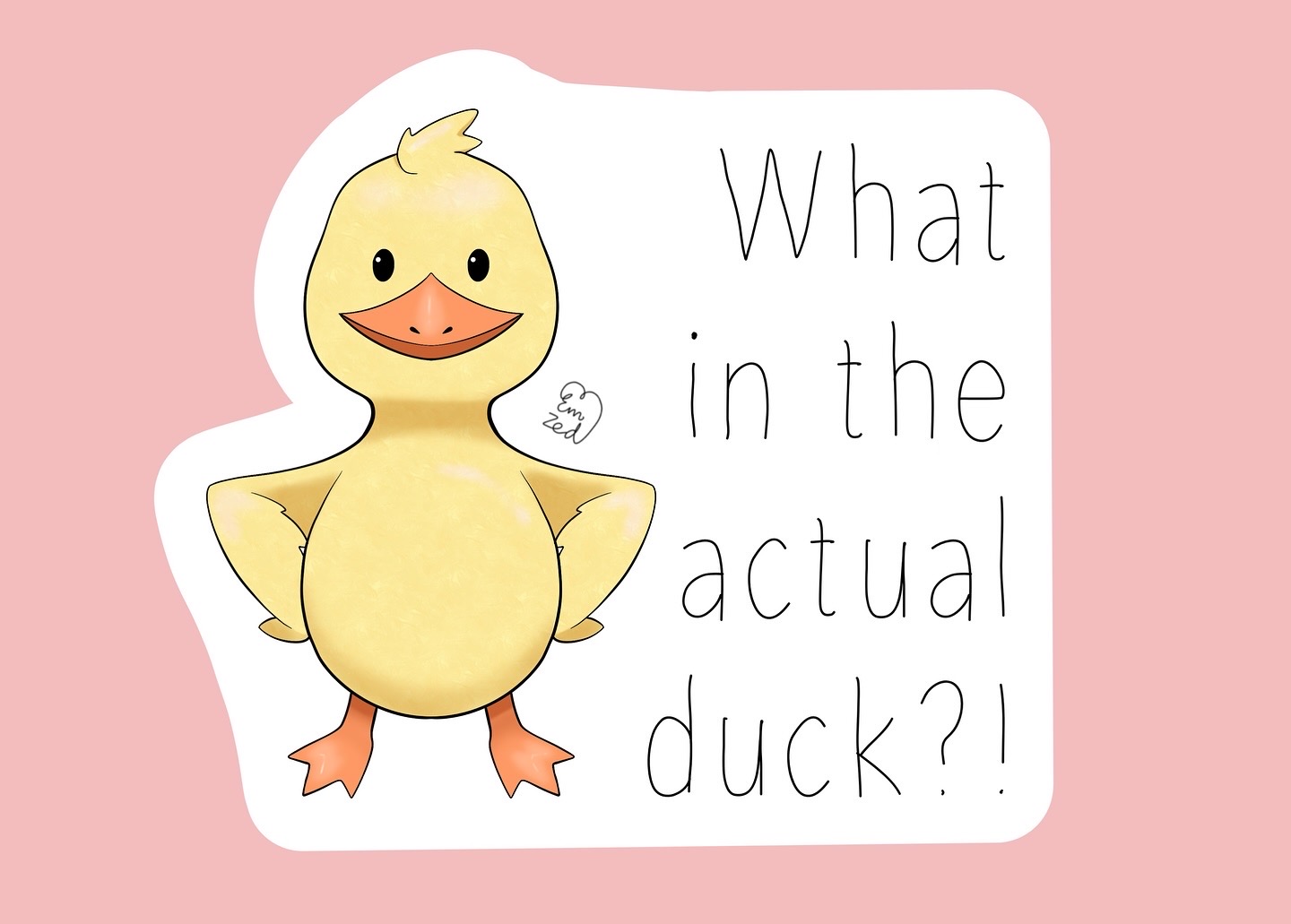 Duck Stickers and Sets