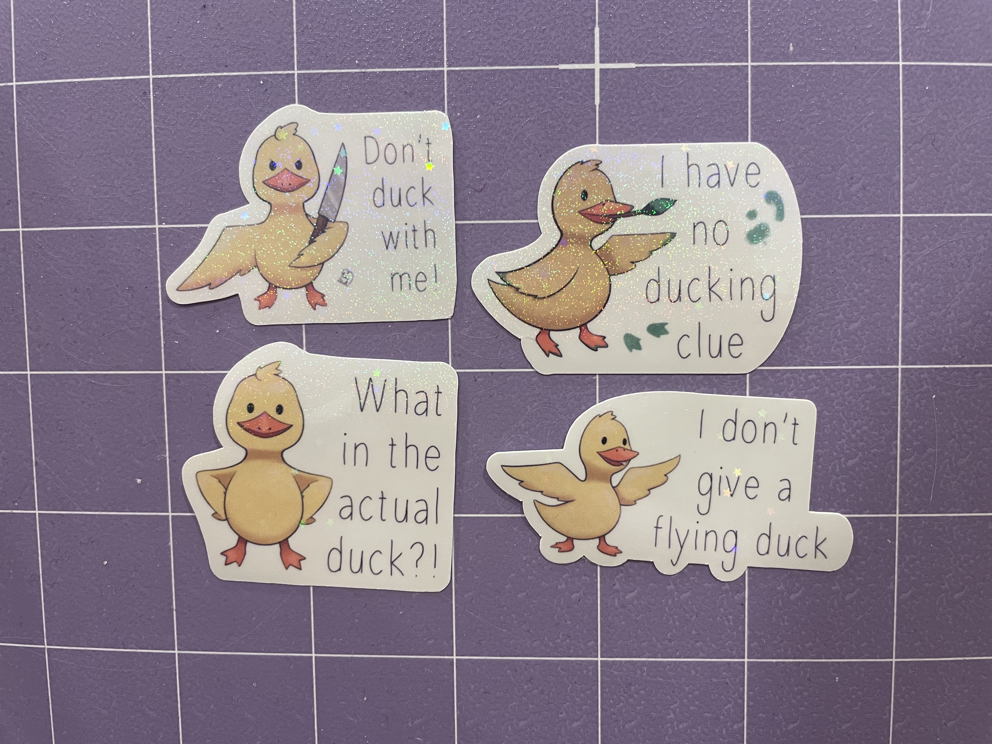 Duck Stickers and Sets
