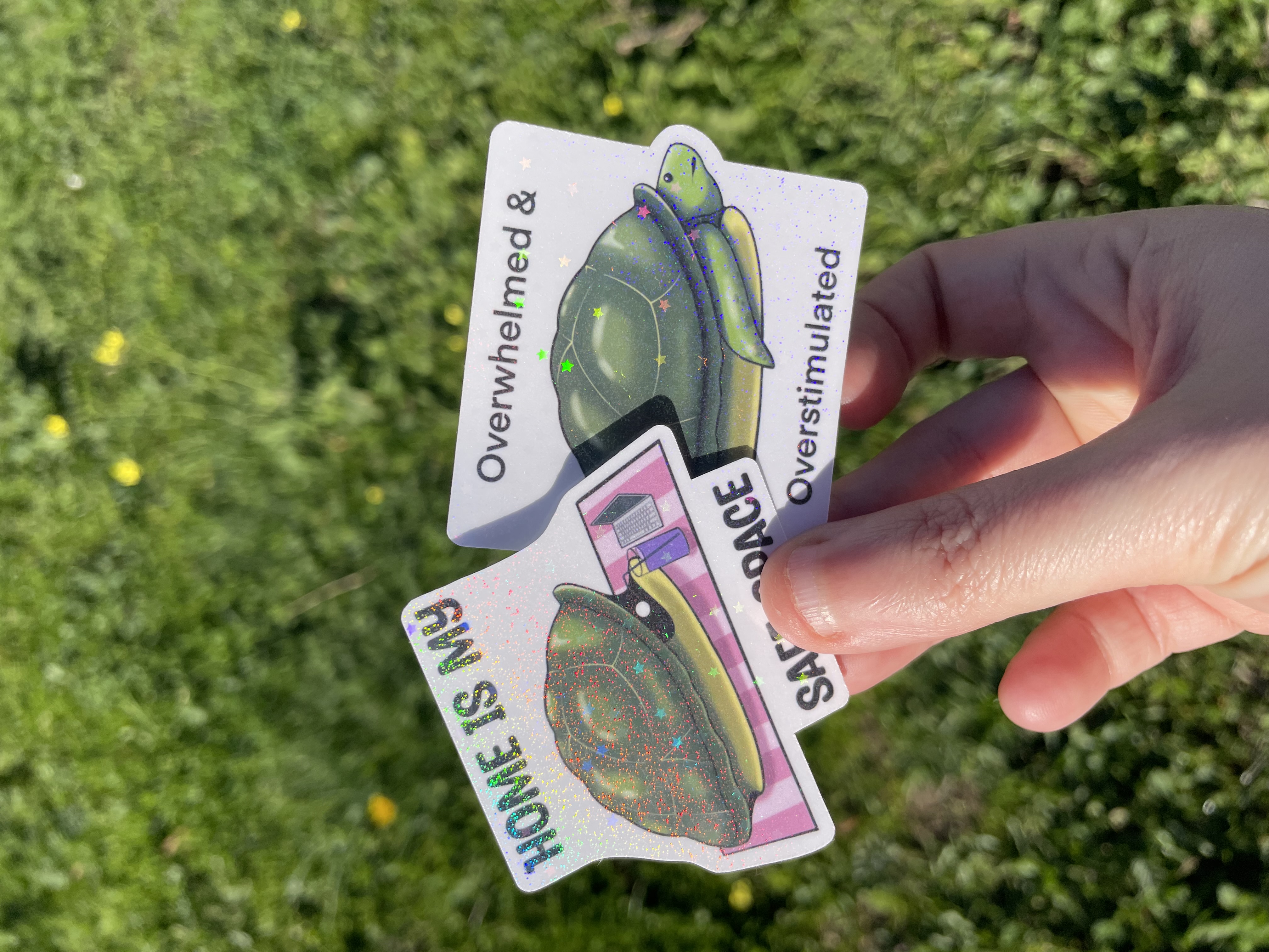 Turtle Stickers and Set