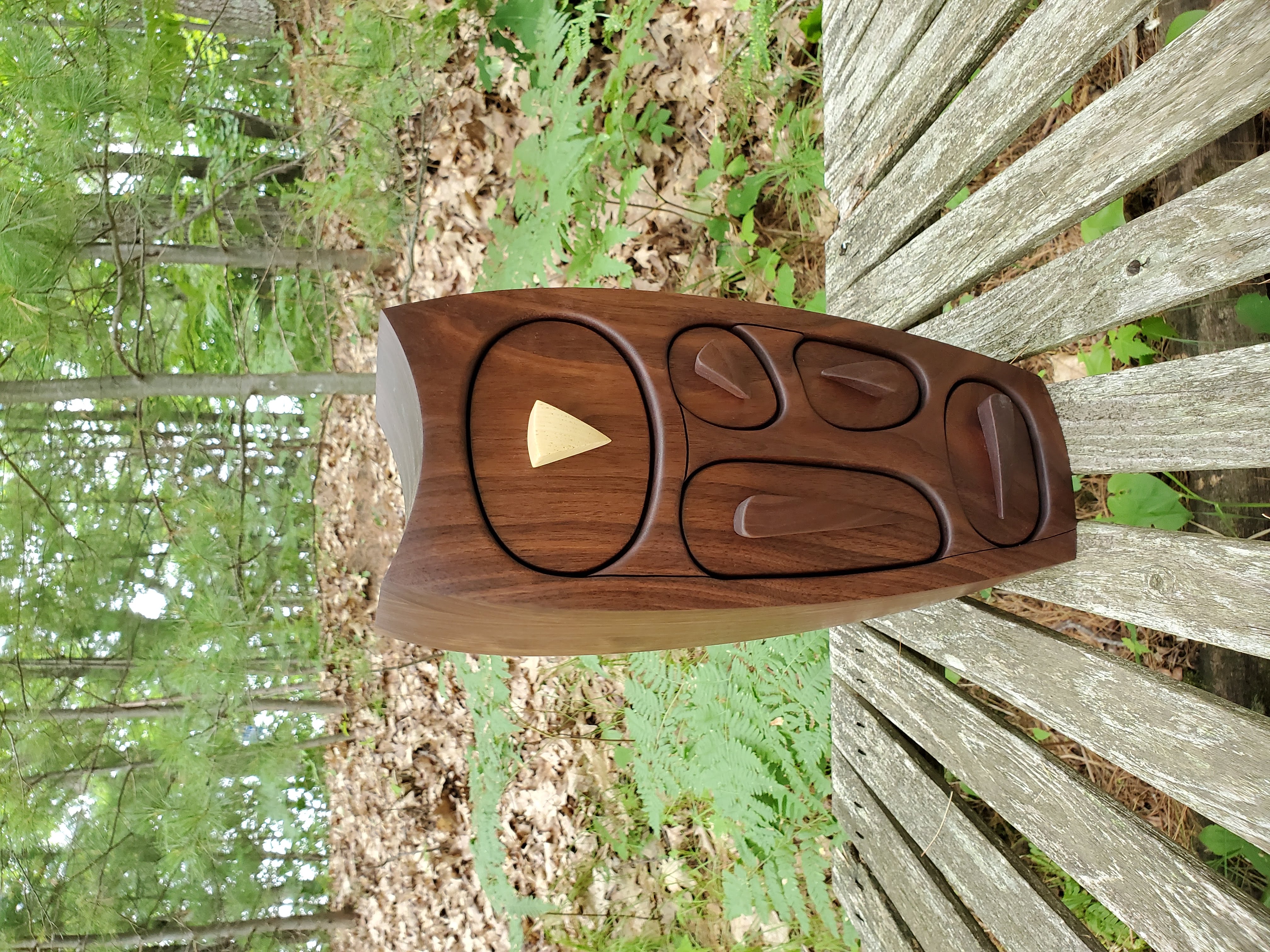 Walnut Owl
