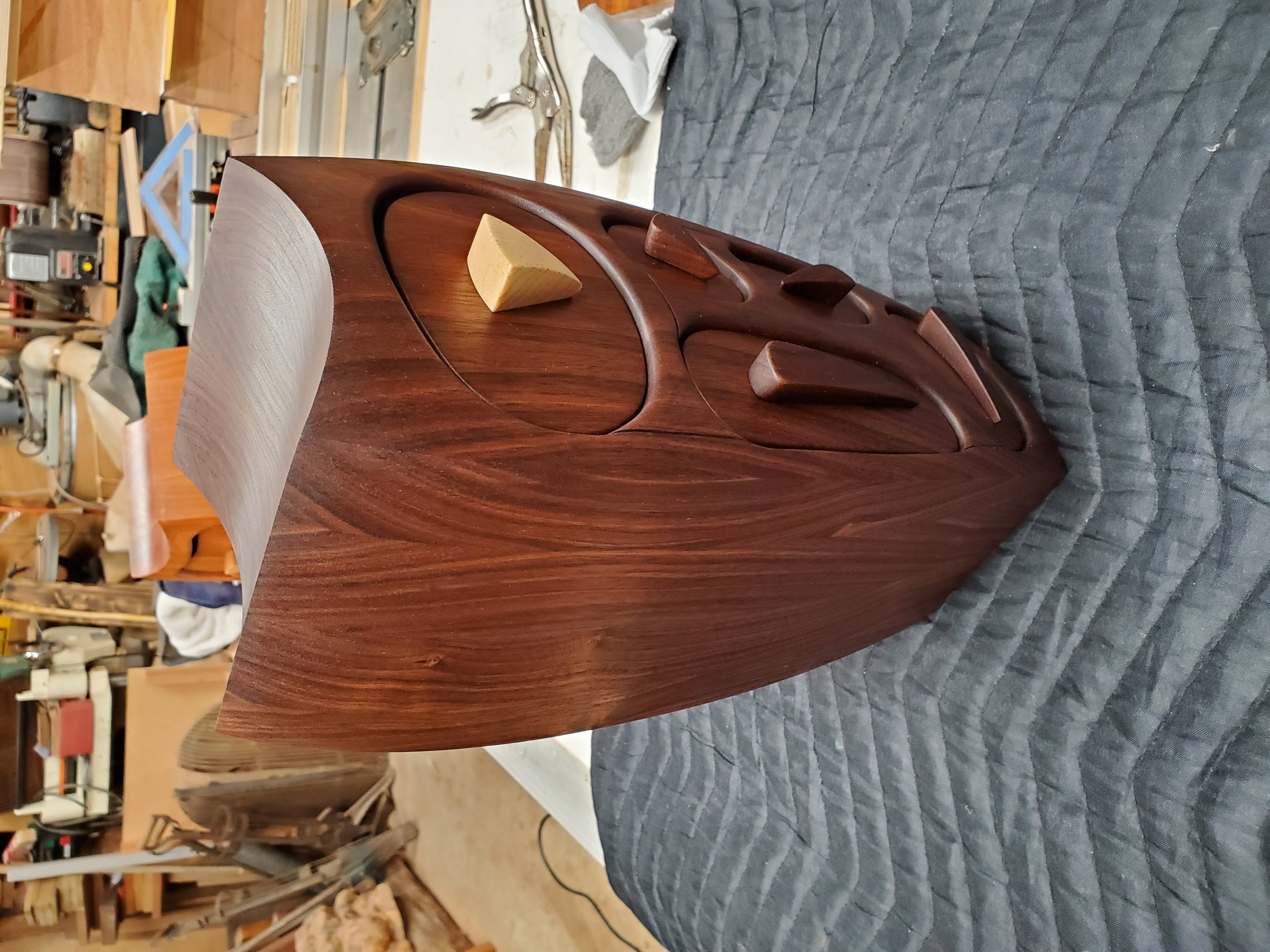 Walnut Owl