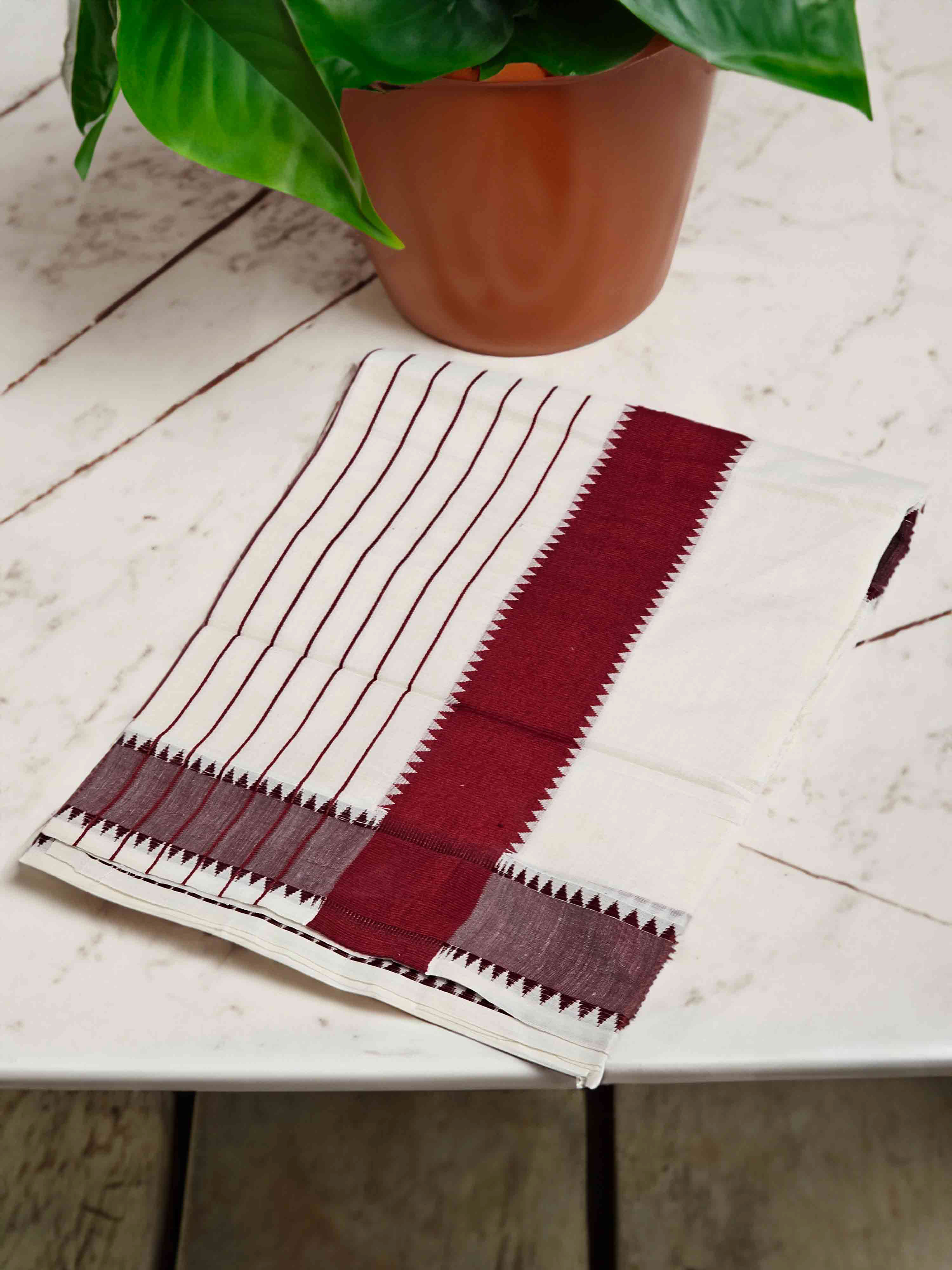 Traditional tissue saree