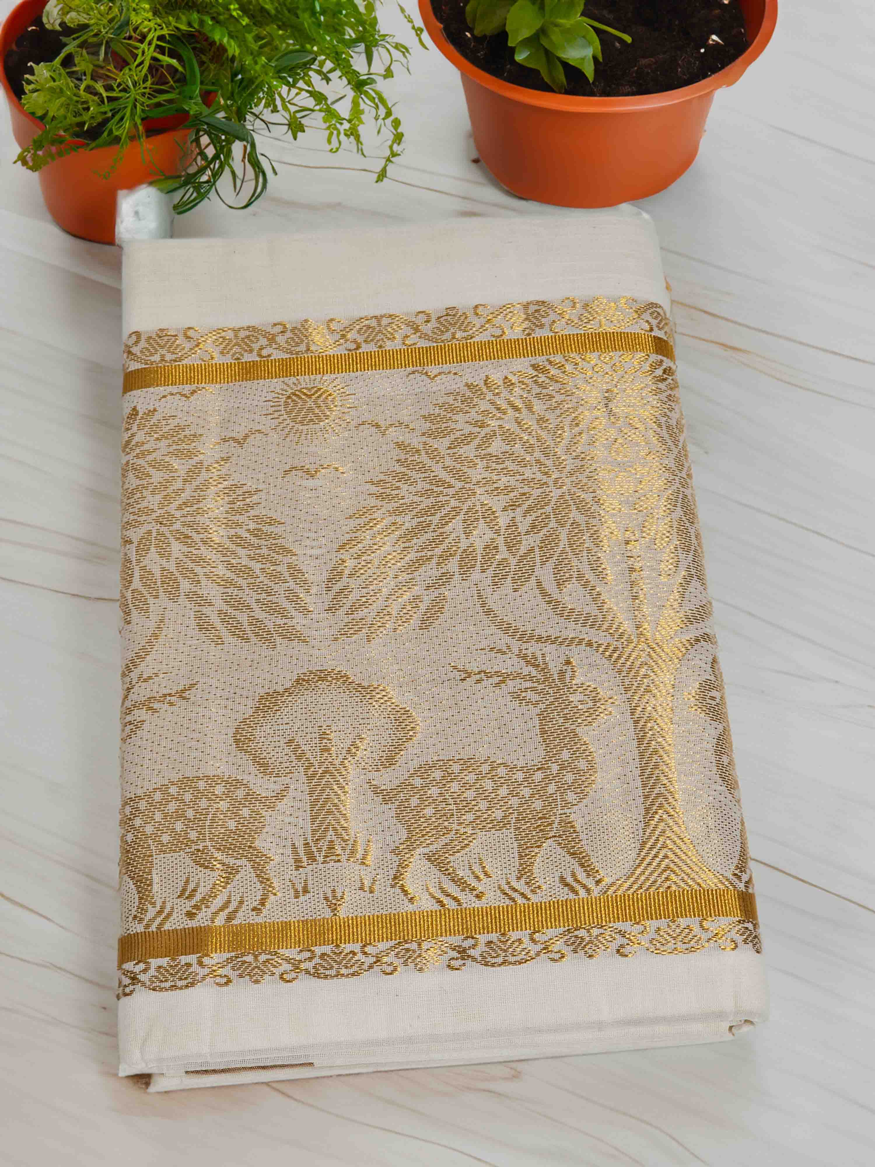 Golden kasavu tissue saree