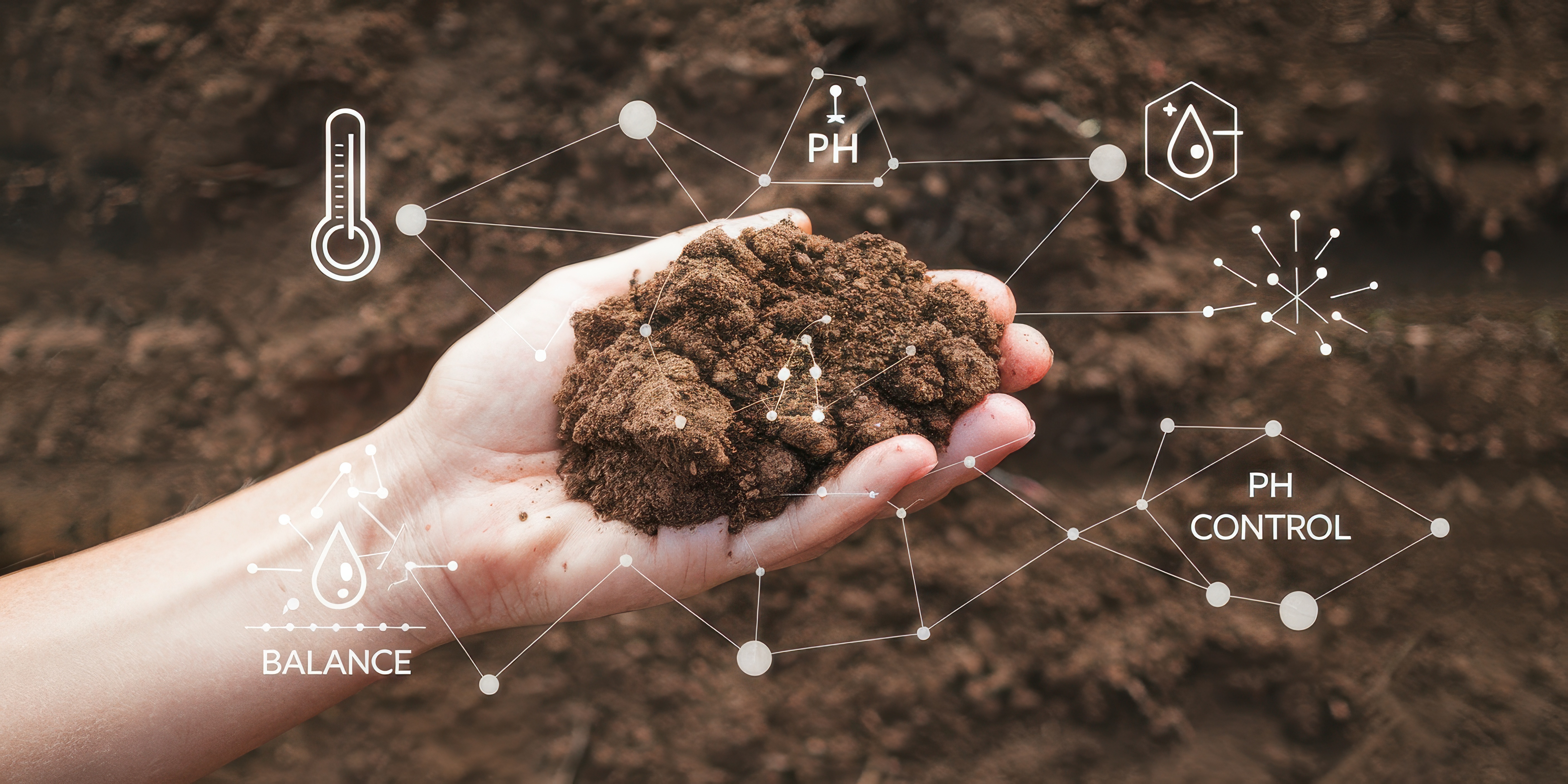 Information Session on Comprehensive Assessment of Soil Health and Fertility