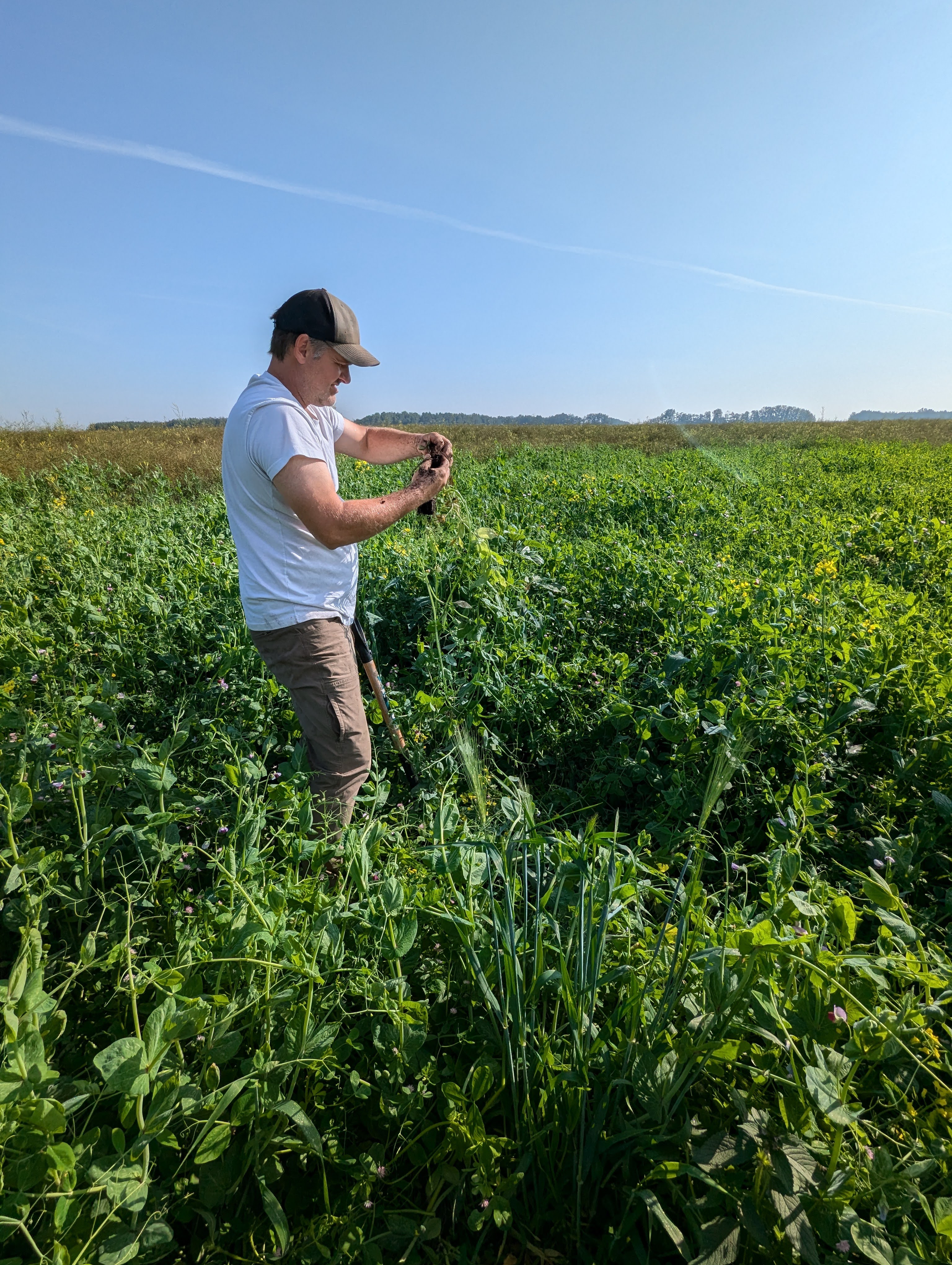 Information Session on Comprehensive Assessment of Soil Health and Fertility