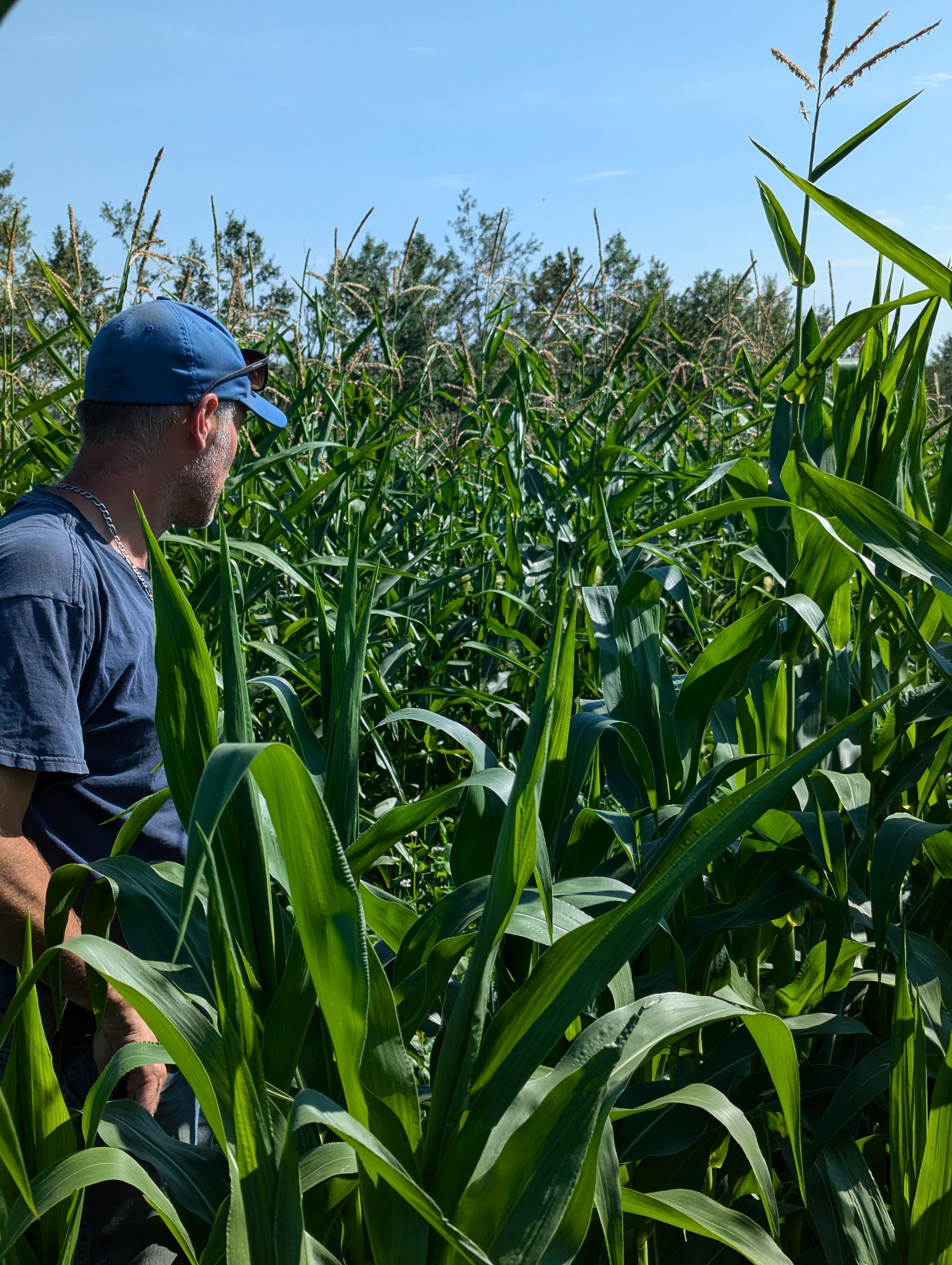 Information Session on Comprehensive Assessment of Soil Health and Fertility