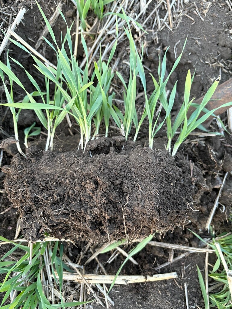 Phosul Dry Granular Phosphate