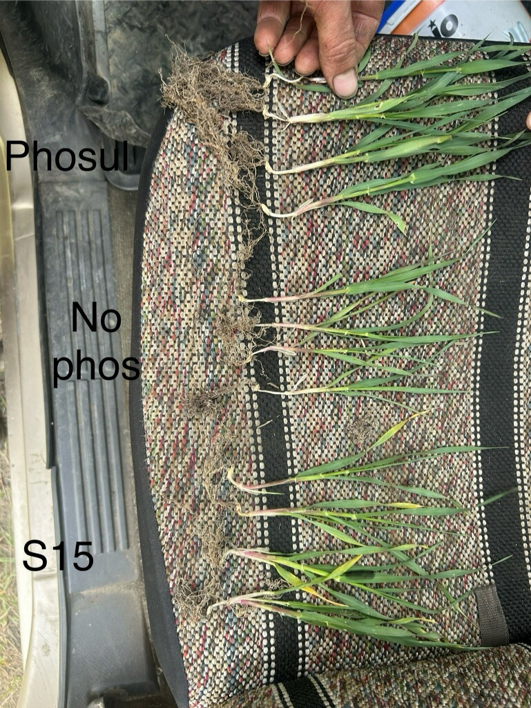 Phosul Dry Granular Phosphate
