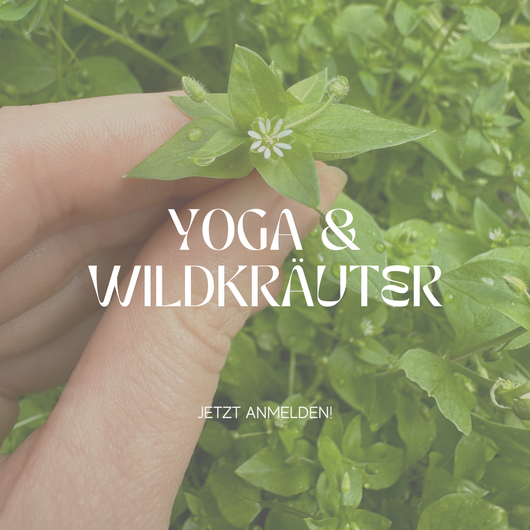 Yoga & Wildkräuter