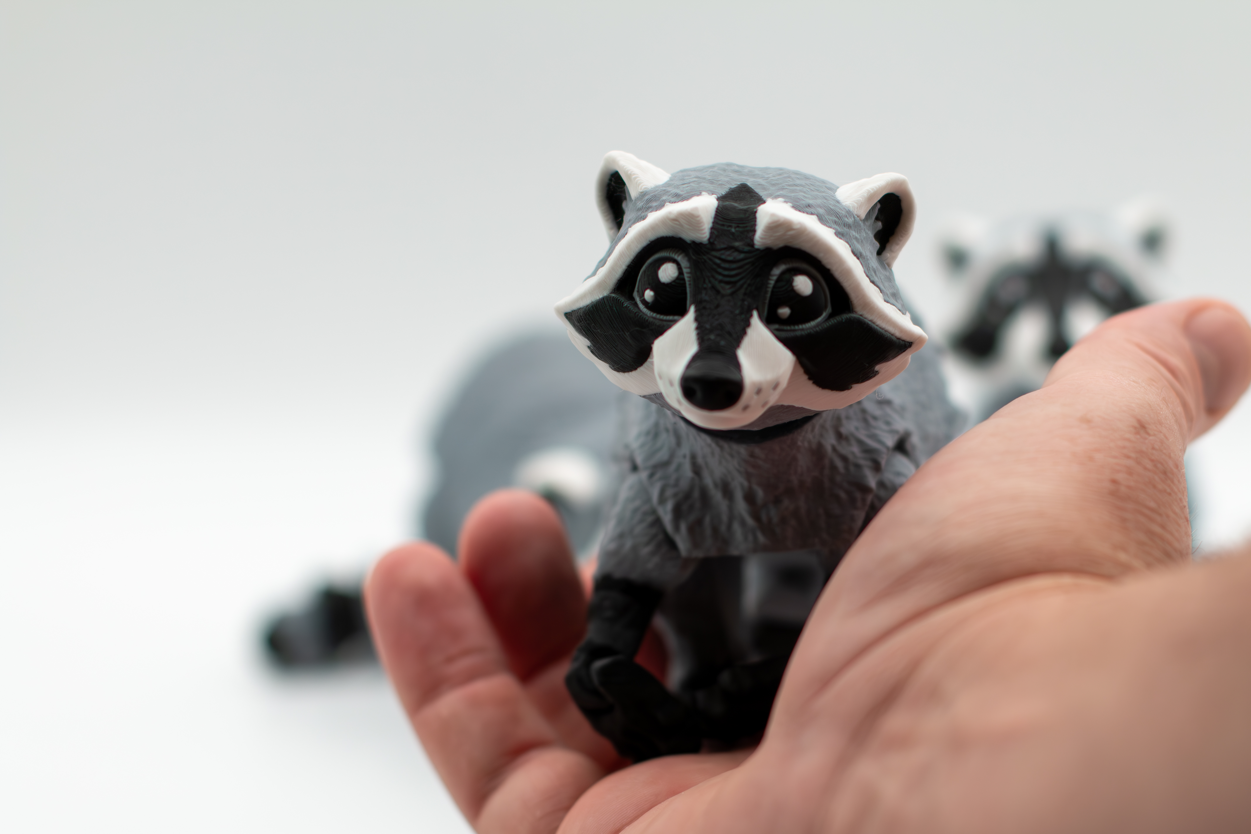 Articulated Raccoons