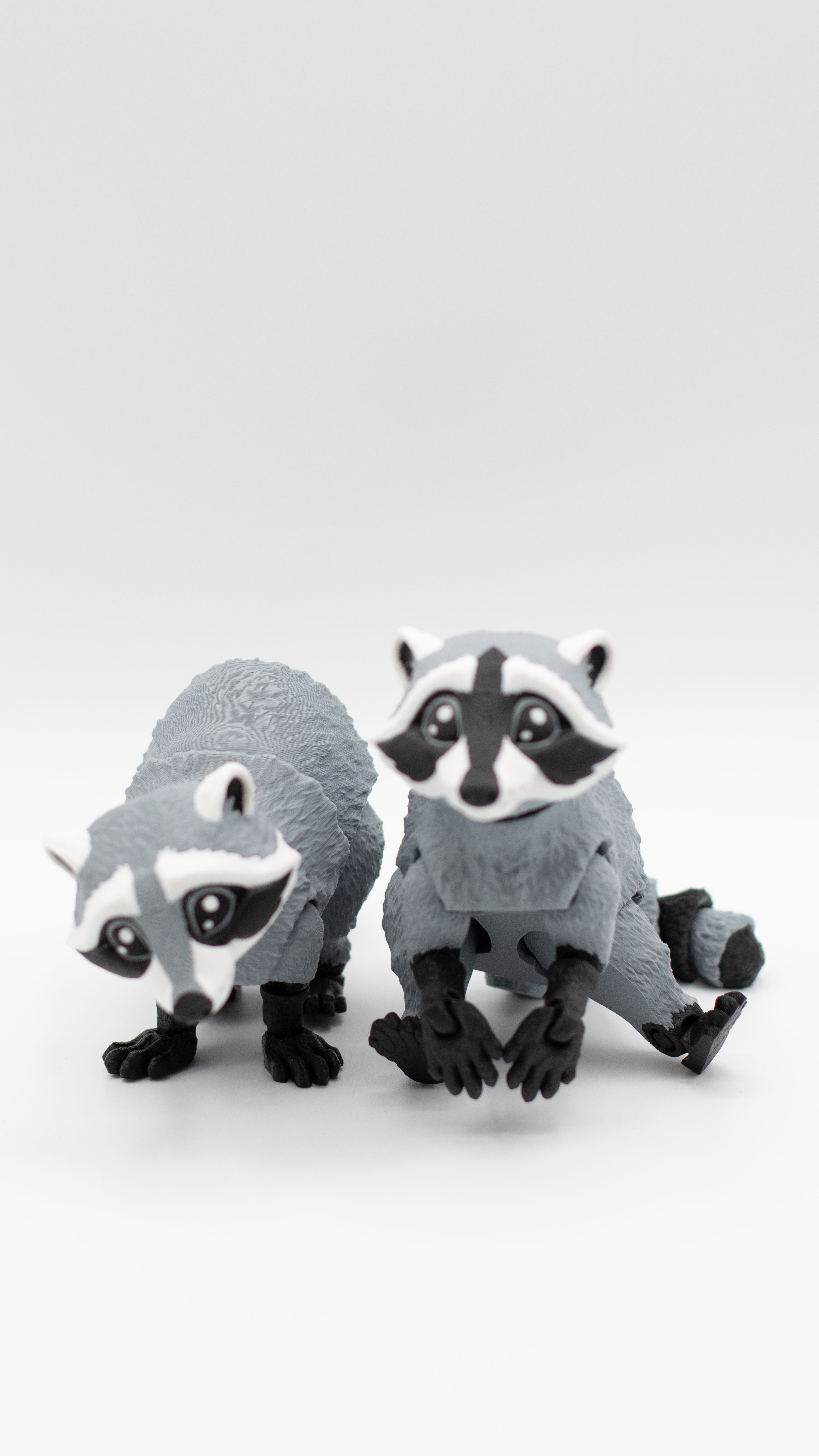 Articulated Raccoons