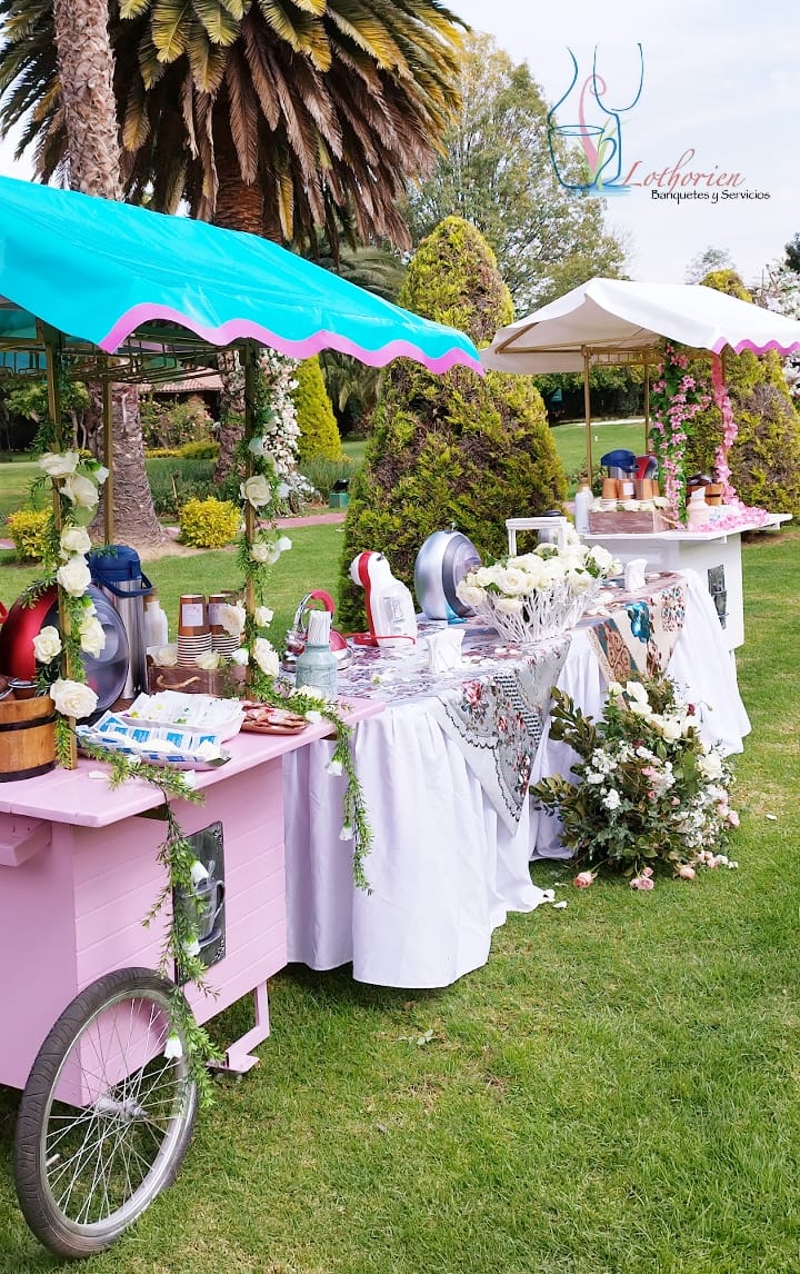 Carritos versátiles