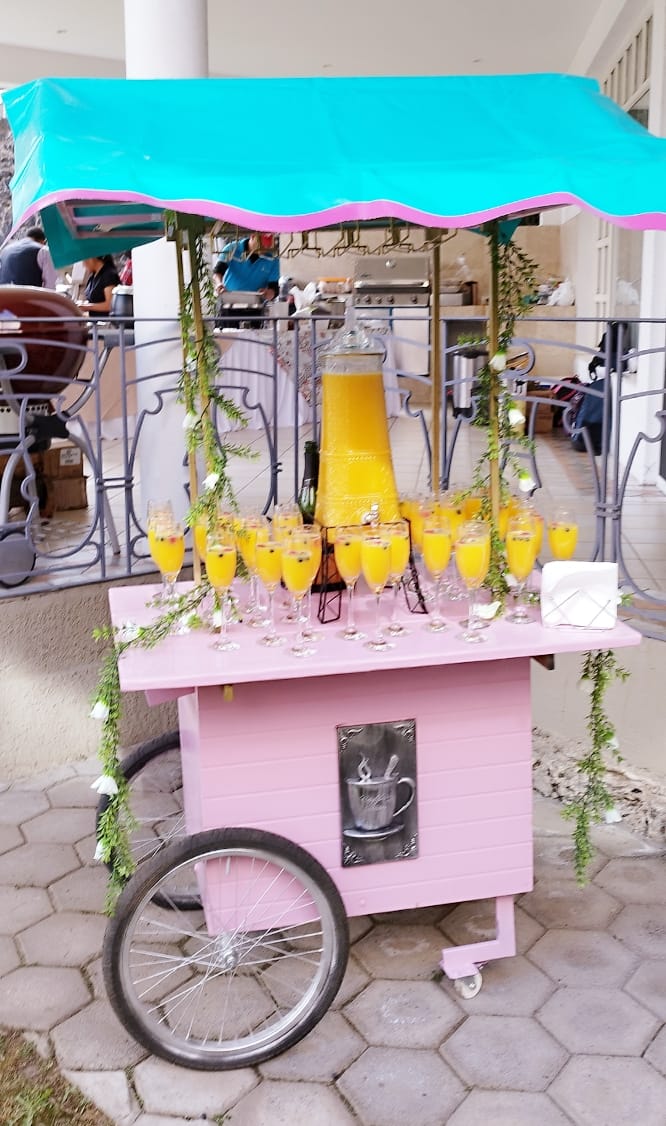 Carritos versátiles