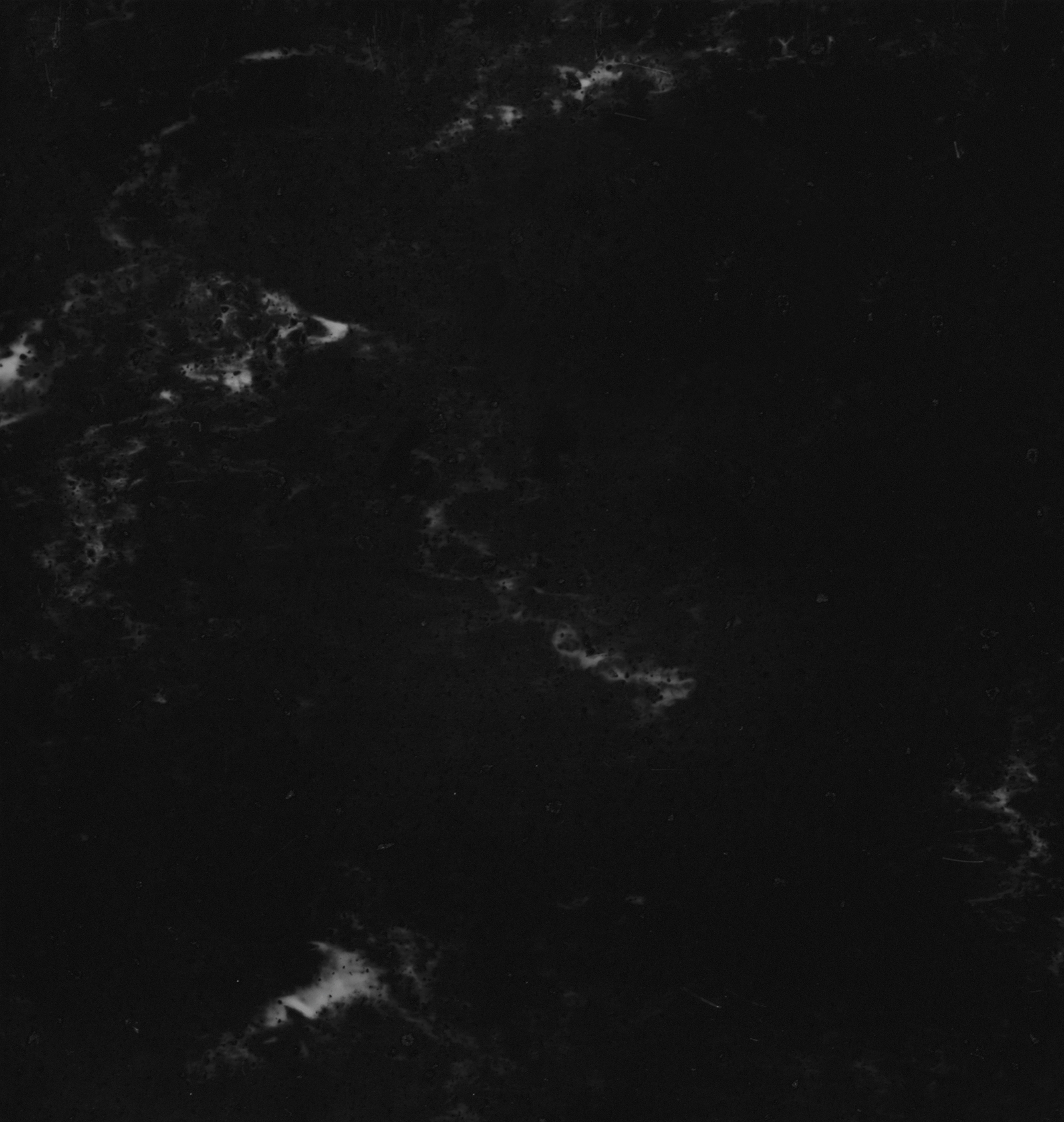 HIMACS Aurora Midnight - M703