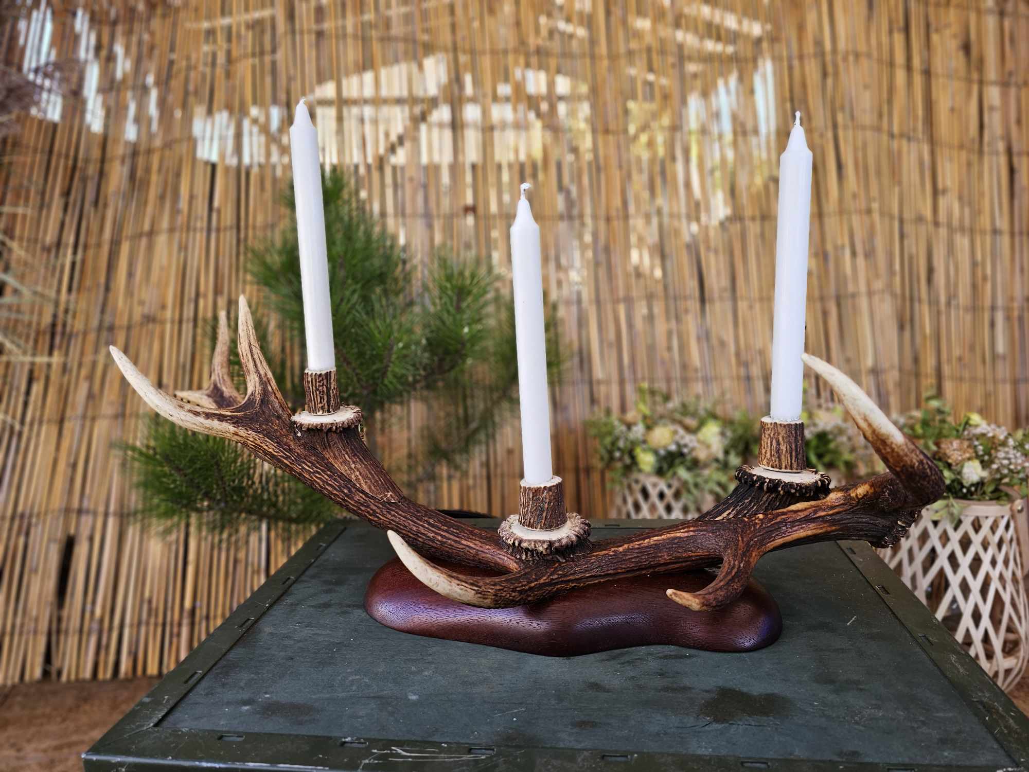 Antler candle holder