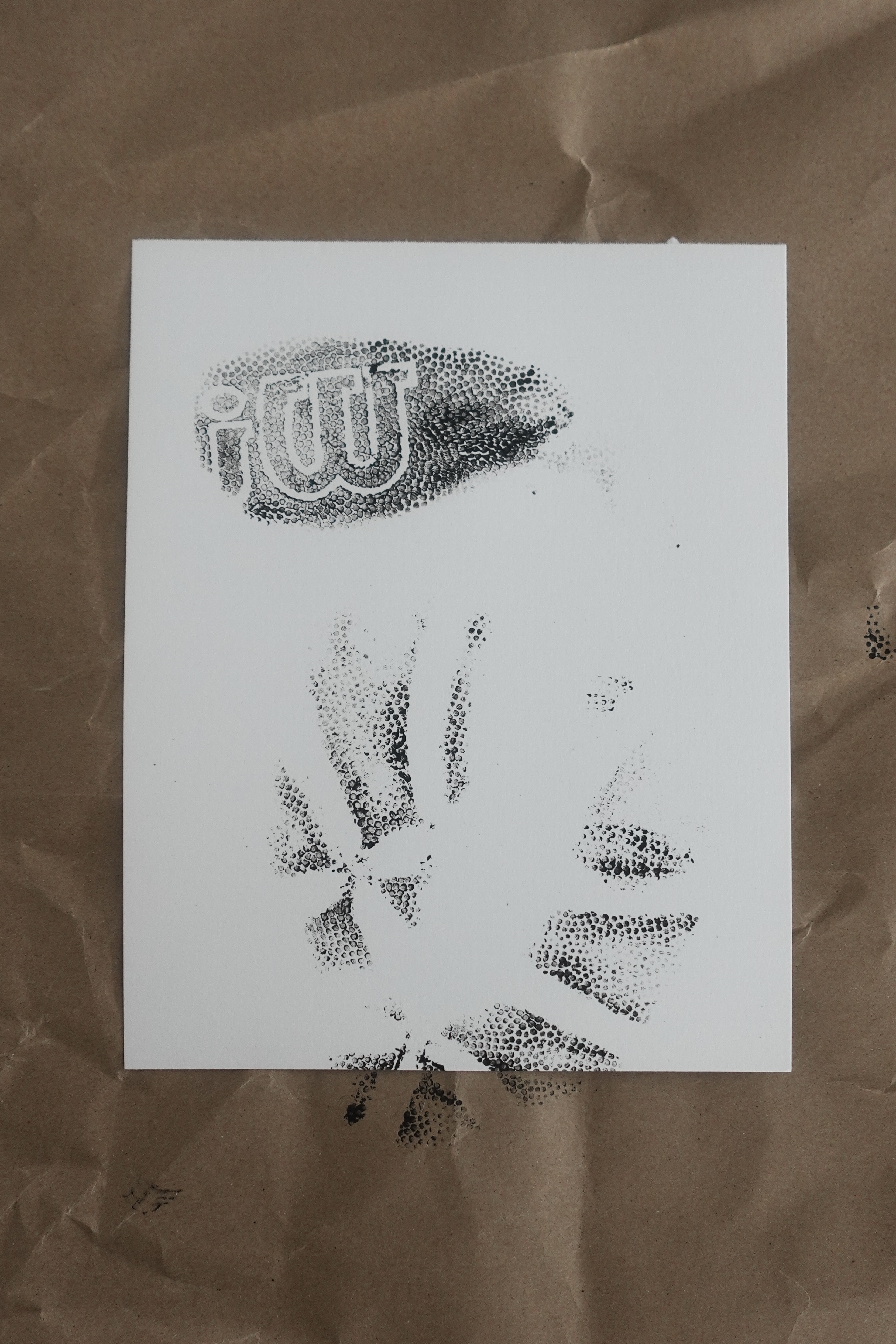 Studio Imprints
