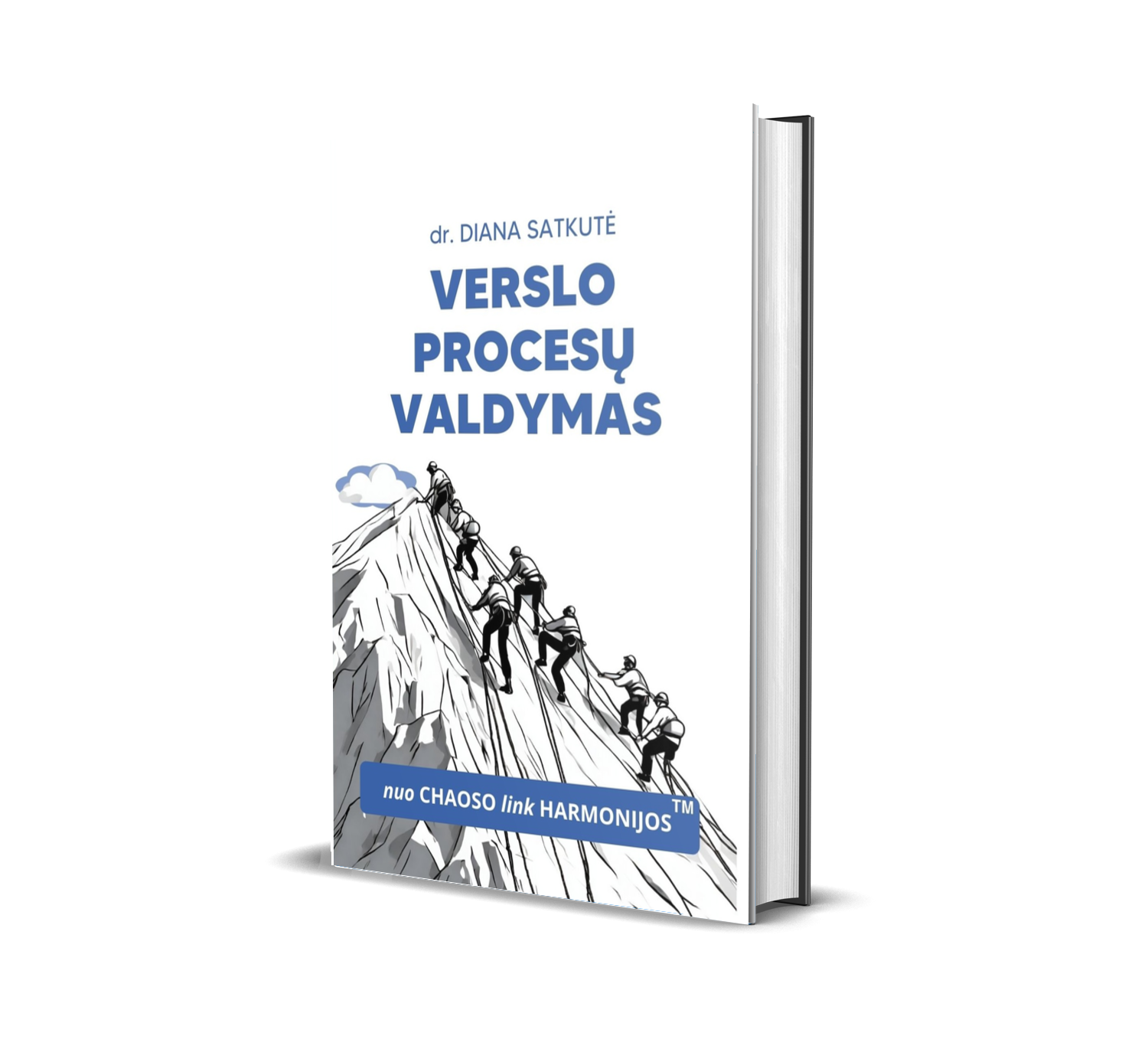 Verslo procesų valdymas: nuo chaoso link harmonijos