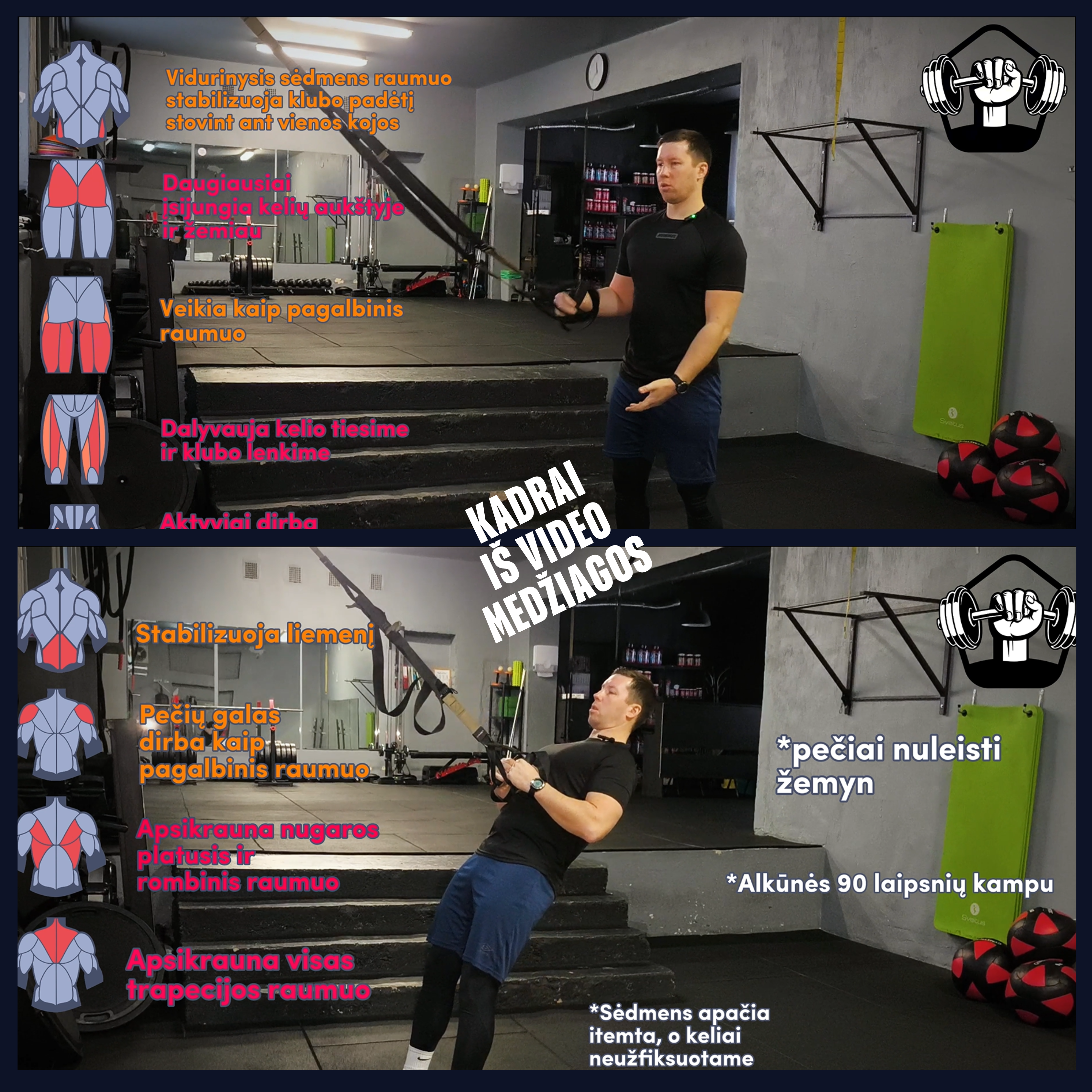 Jėgos diržų programa (1 pradedančiųjų lygis)