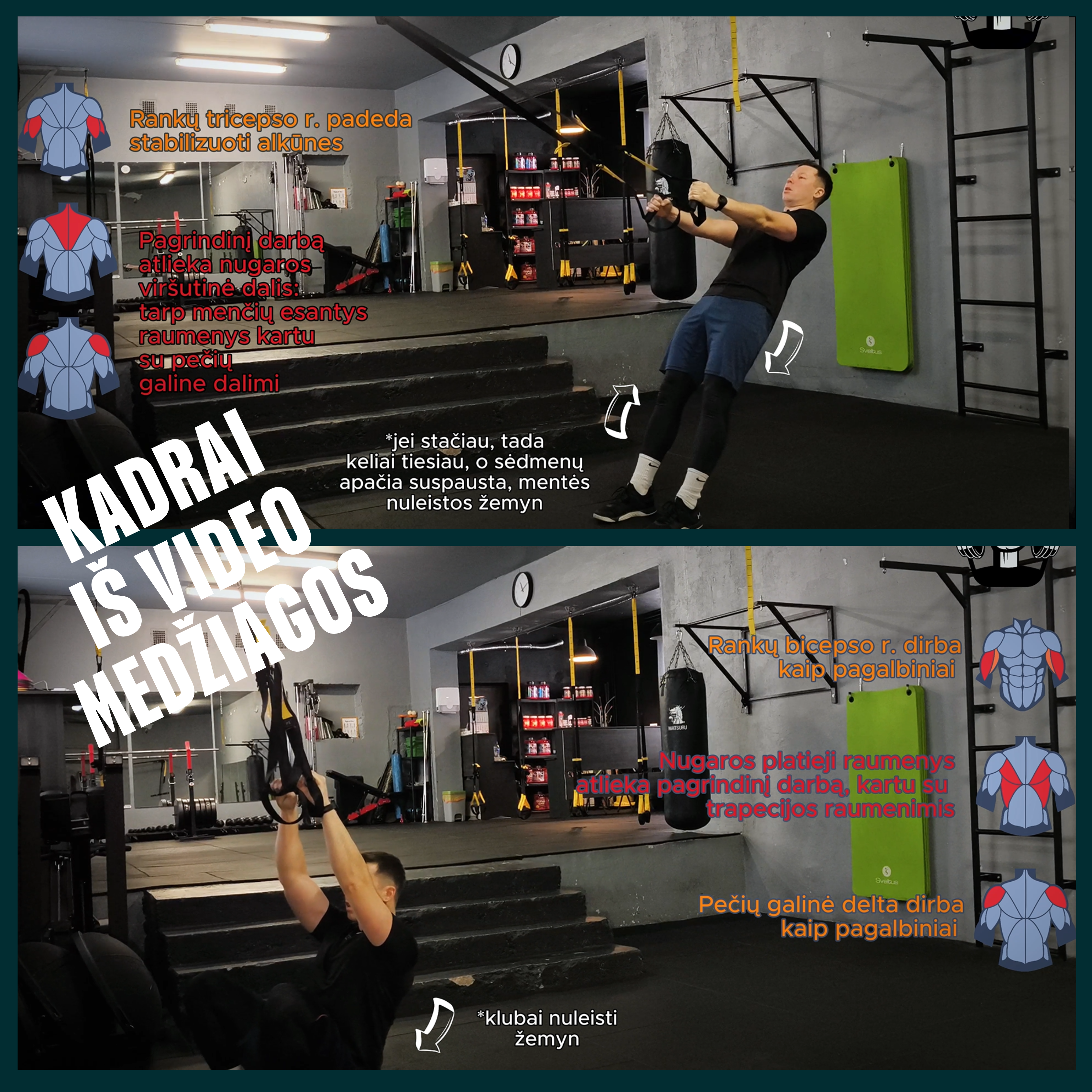 Jėgos diržų programa (2 pažengusiųjų lygis)