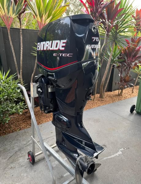 2004 Evinrude Etec