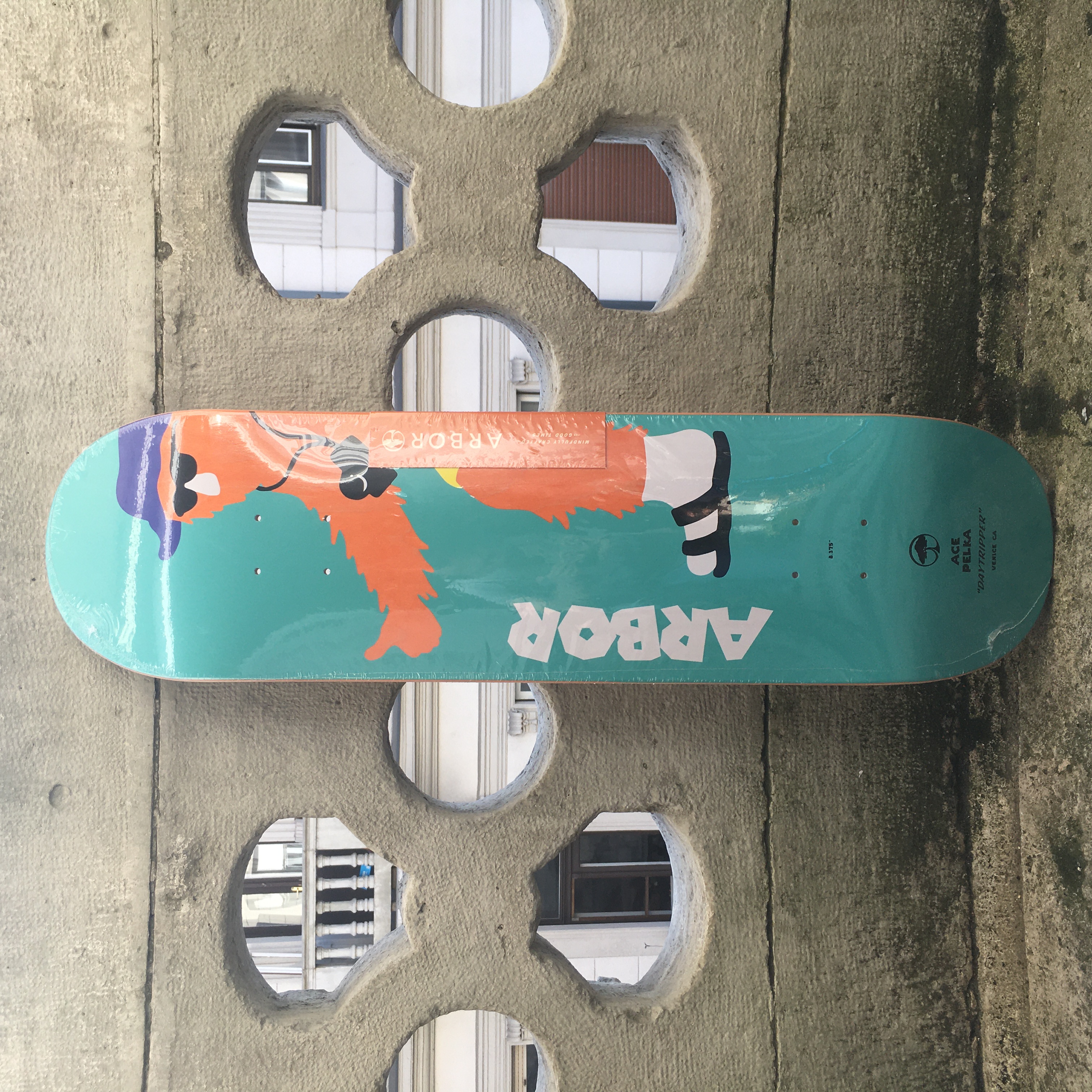 8.375 Arbor - Ace Pelka - Daytripper - gördeszka lap