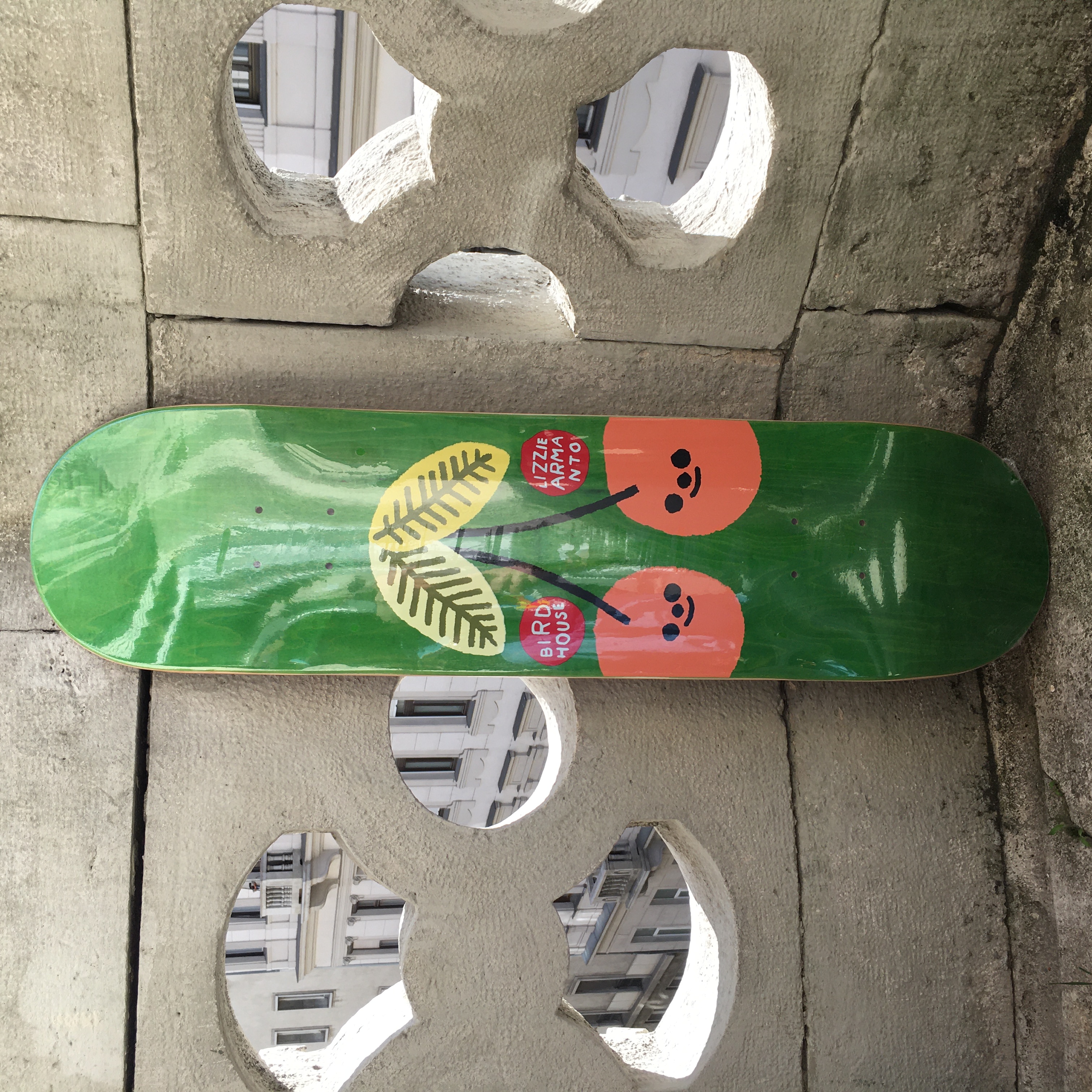8.0 Birdhouse - Lizzie Cherry Picked - gördeszka lap
