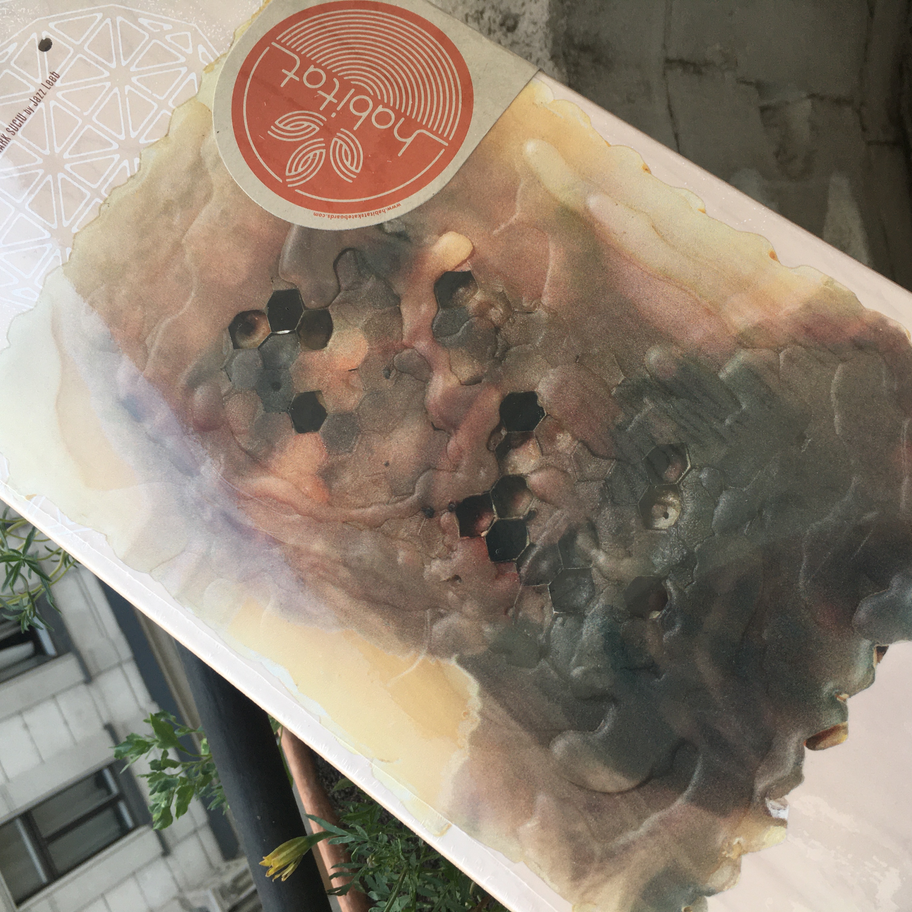 8.25 Habitat - Suciu Jazz Leeb Series lap