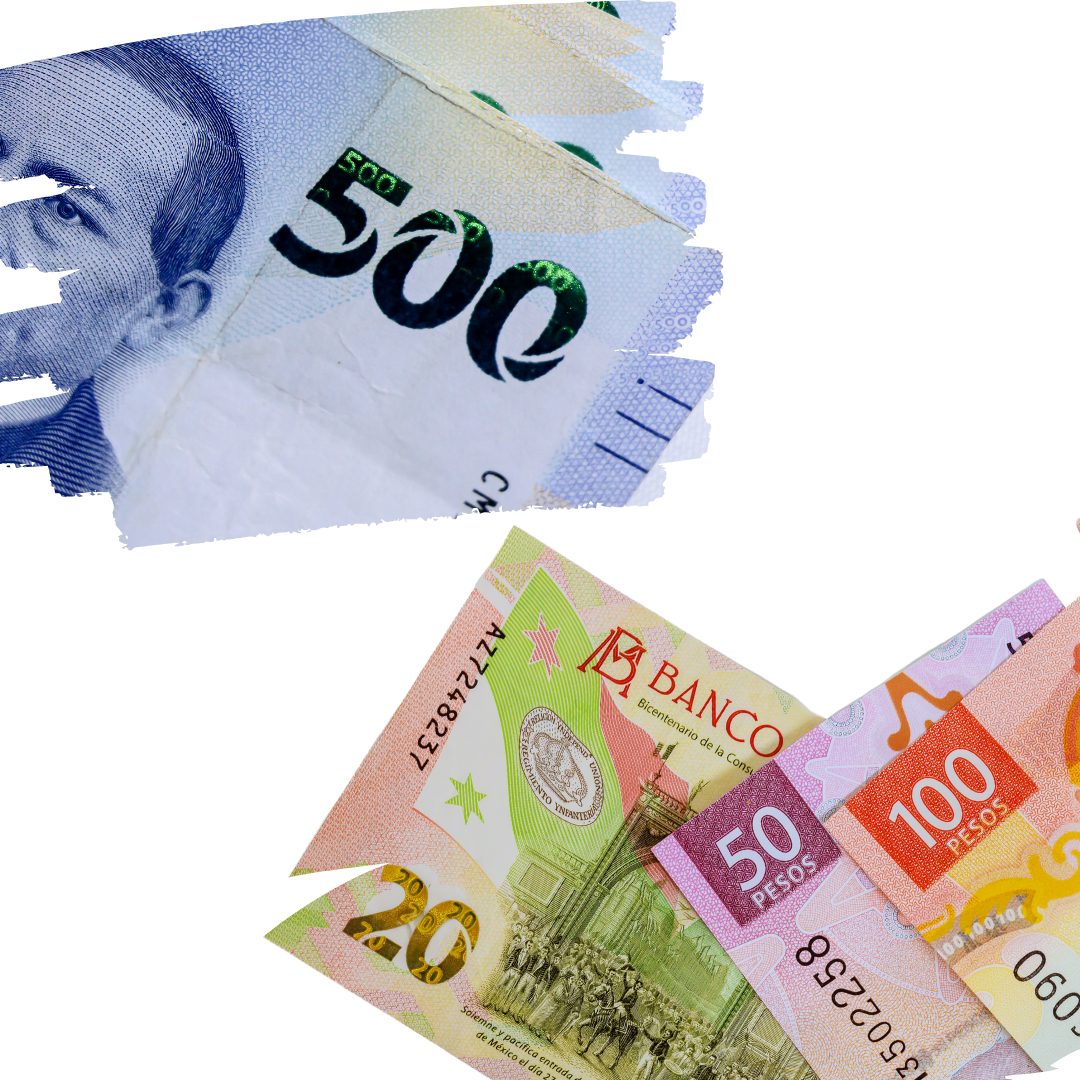 Demanda de Pensión Alimenticia