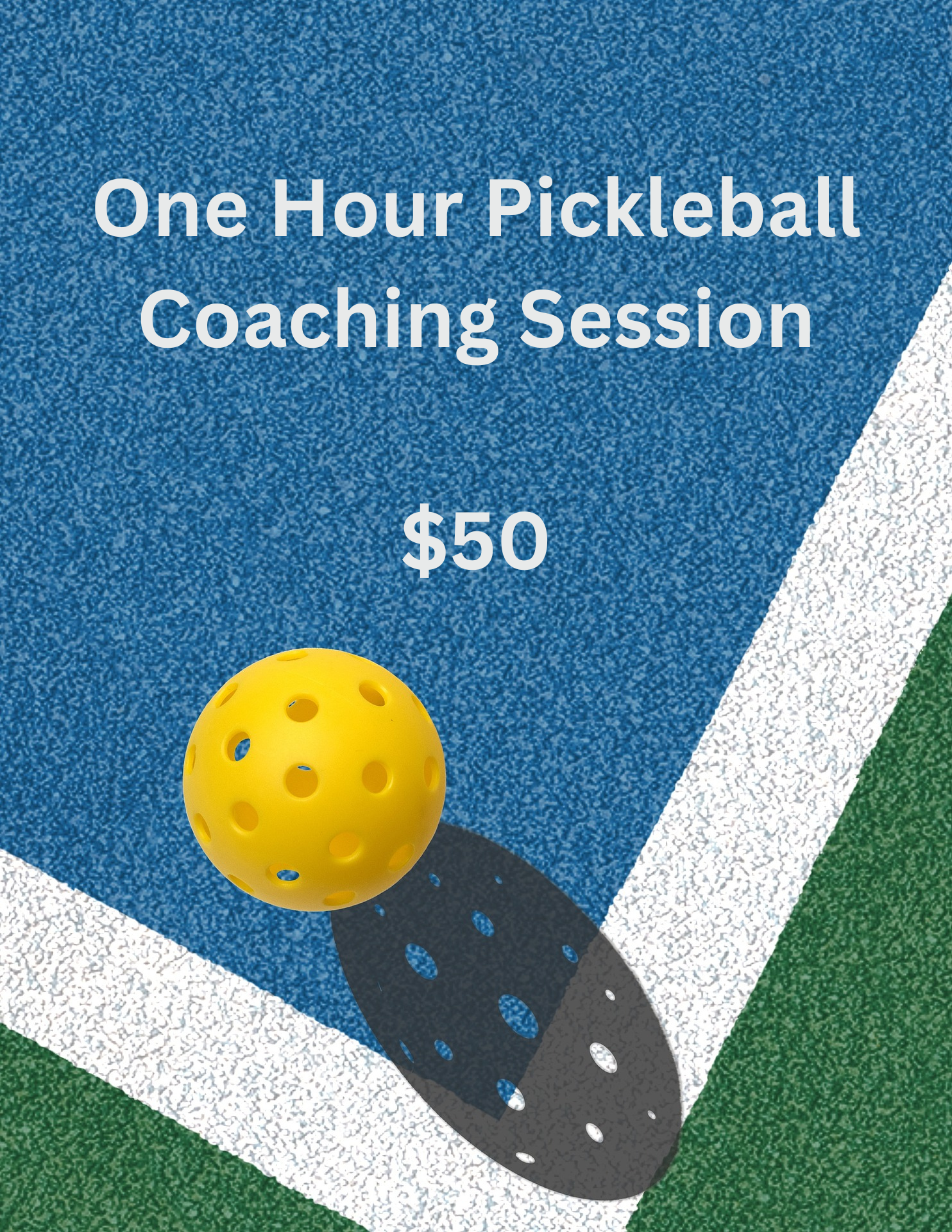 One Hour Pickleball Coaching Session