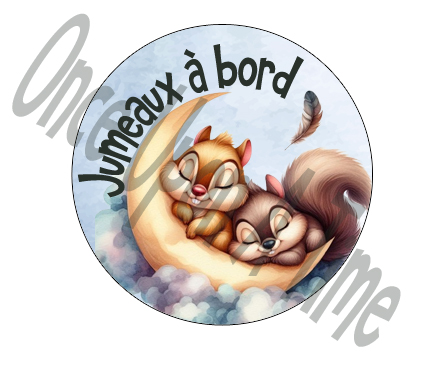 🤰Collier Bola de grossesse - Tic & Tac - "Jumeaux à bord" ✨