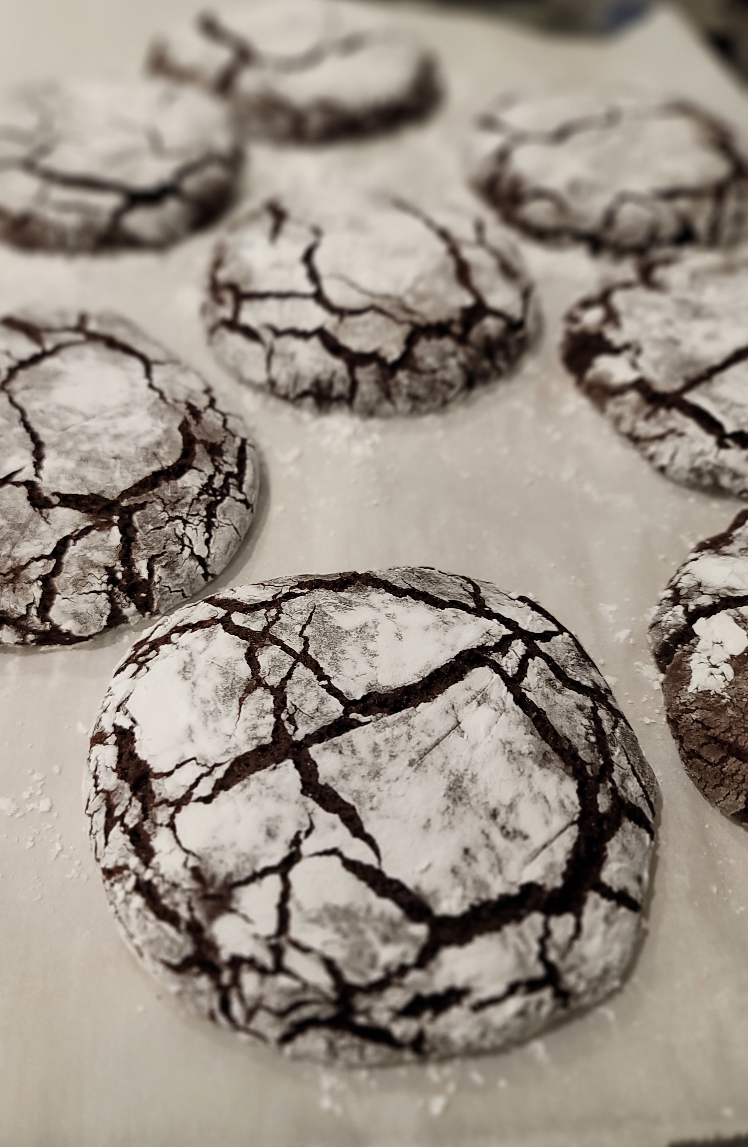 Chocolate Crinkle Cookie