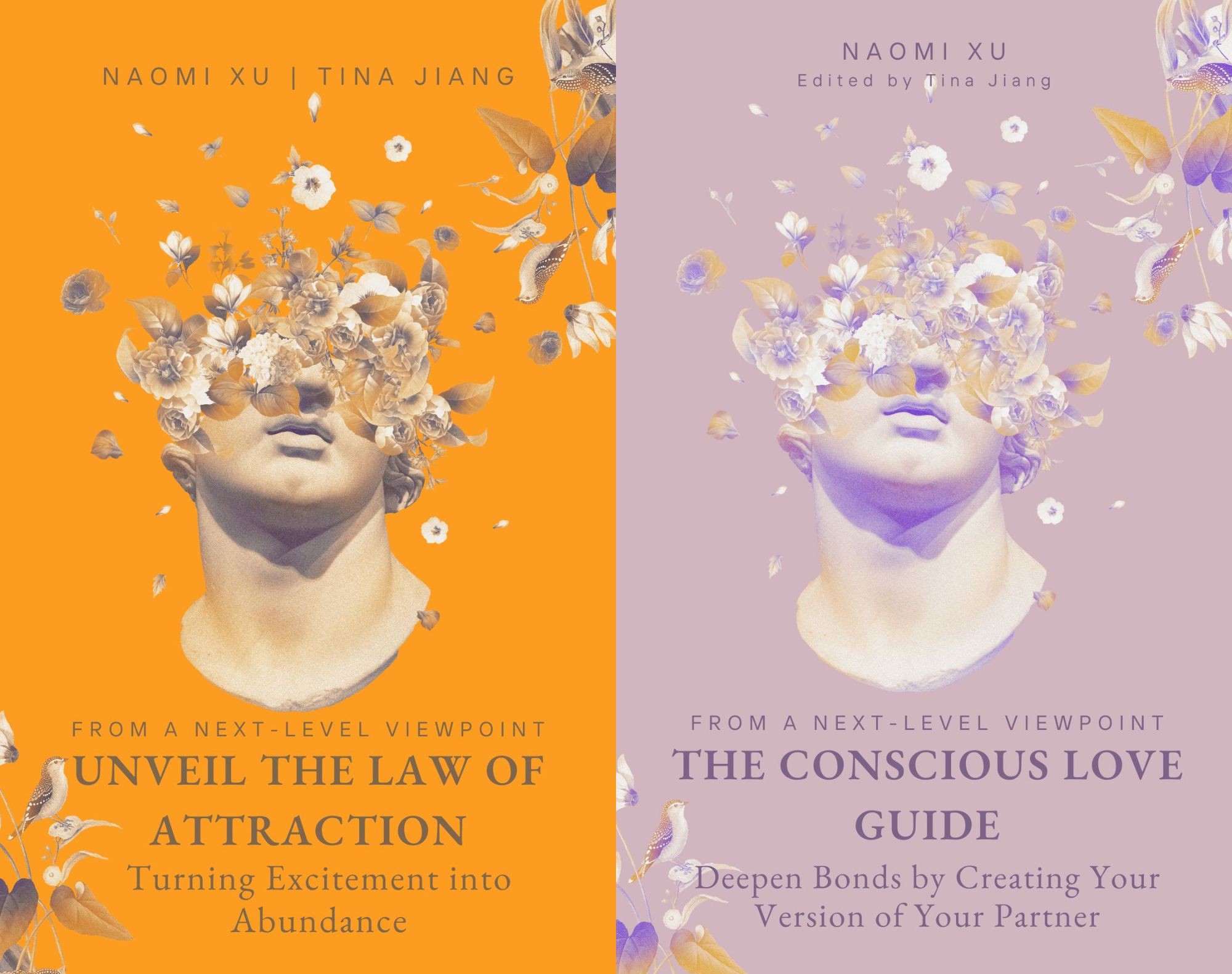 Unveil the Law of Attraction + The Conscious Love Guide
