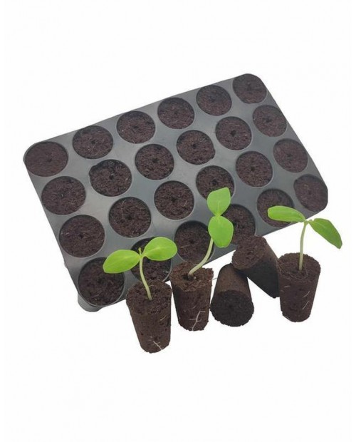 Plug seeder