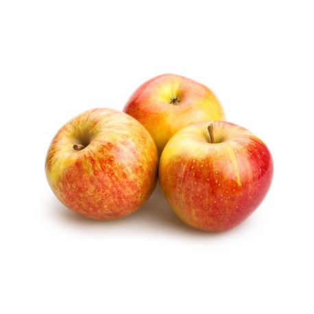 Pomme Reine des Reinettes