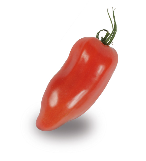 Tomate Cornue des Andes