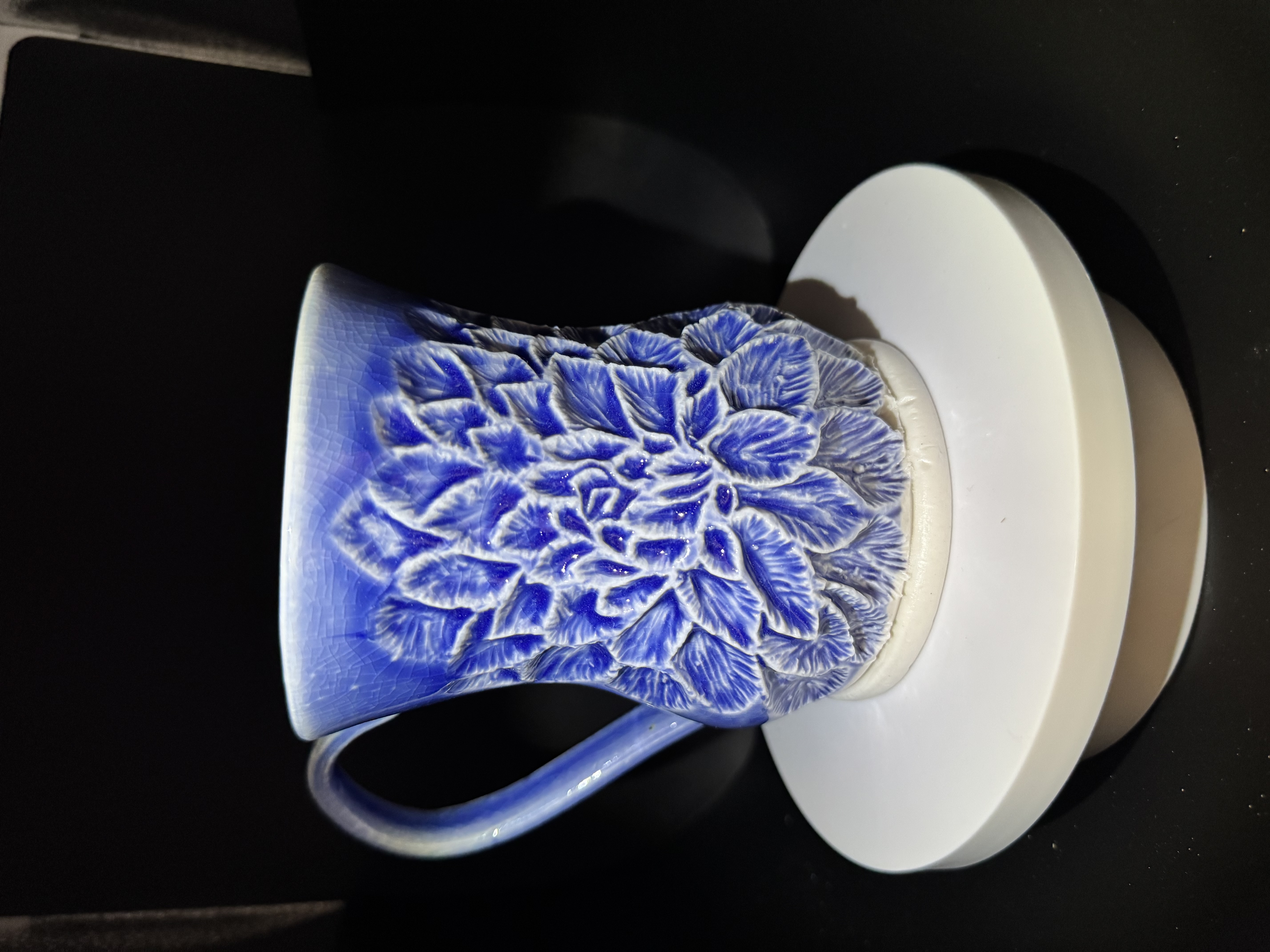 Succulent Handcarved Porcelain Mug