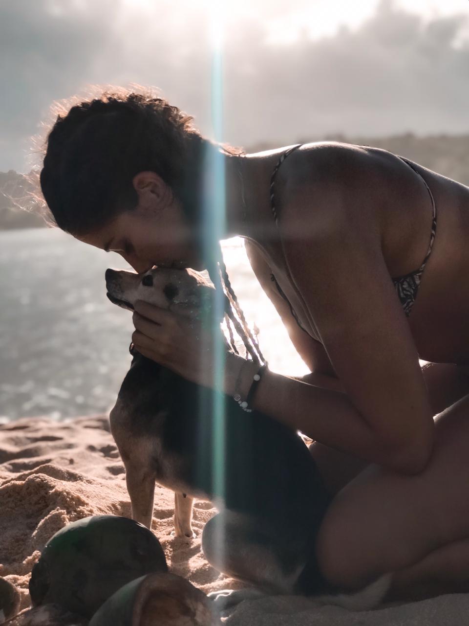 Communication with 1 animal
