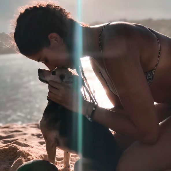 Communication avec 1 animal