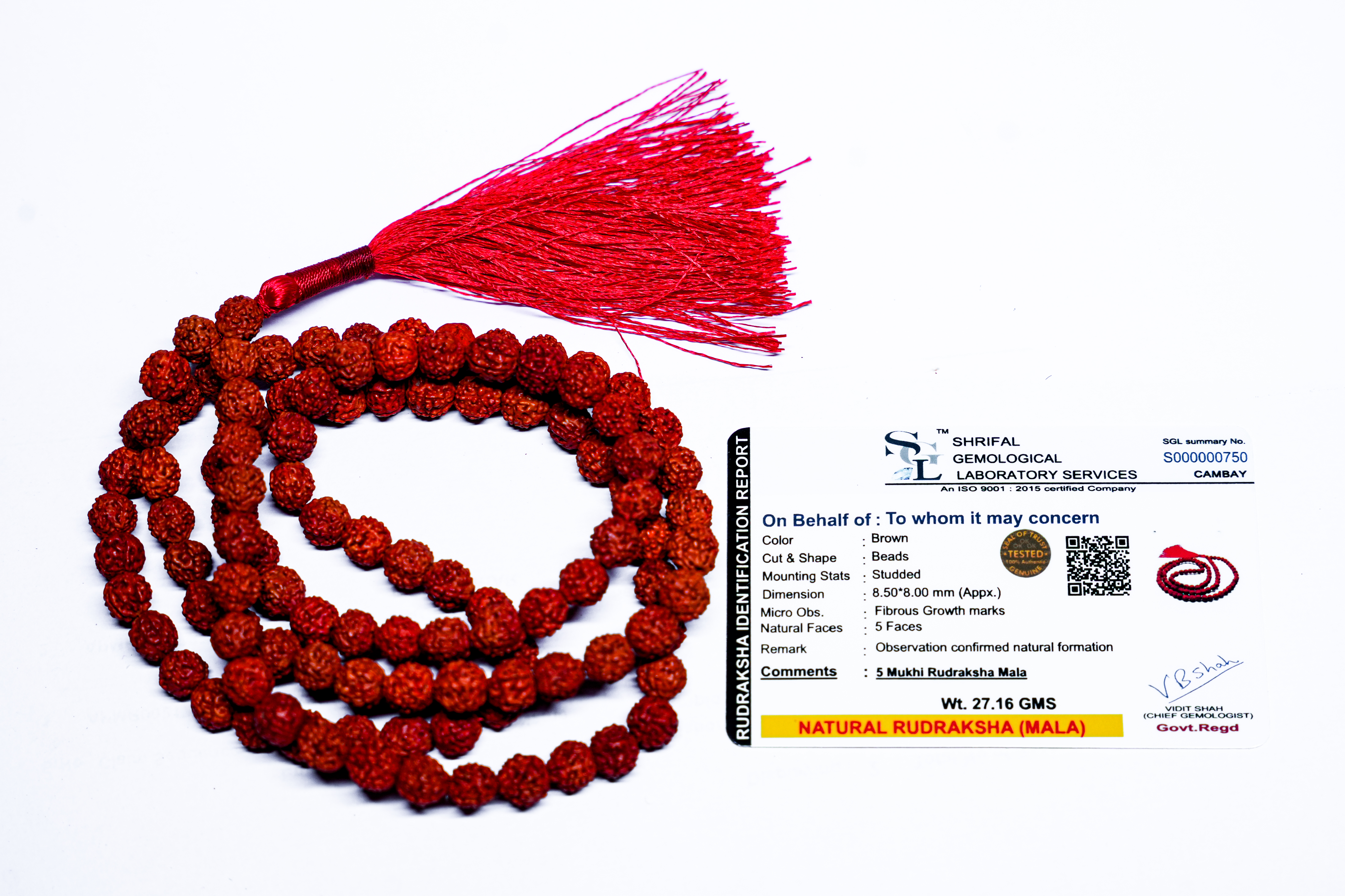 Rudraksha Mala