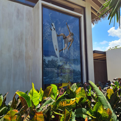 Microperforated vinyl and window decoration